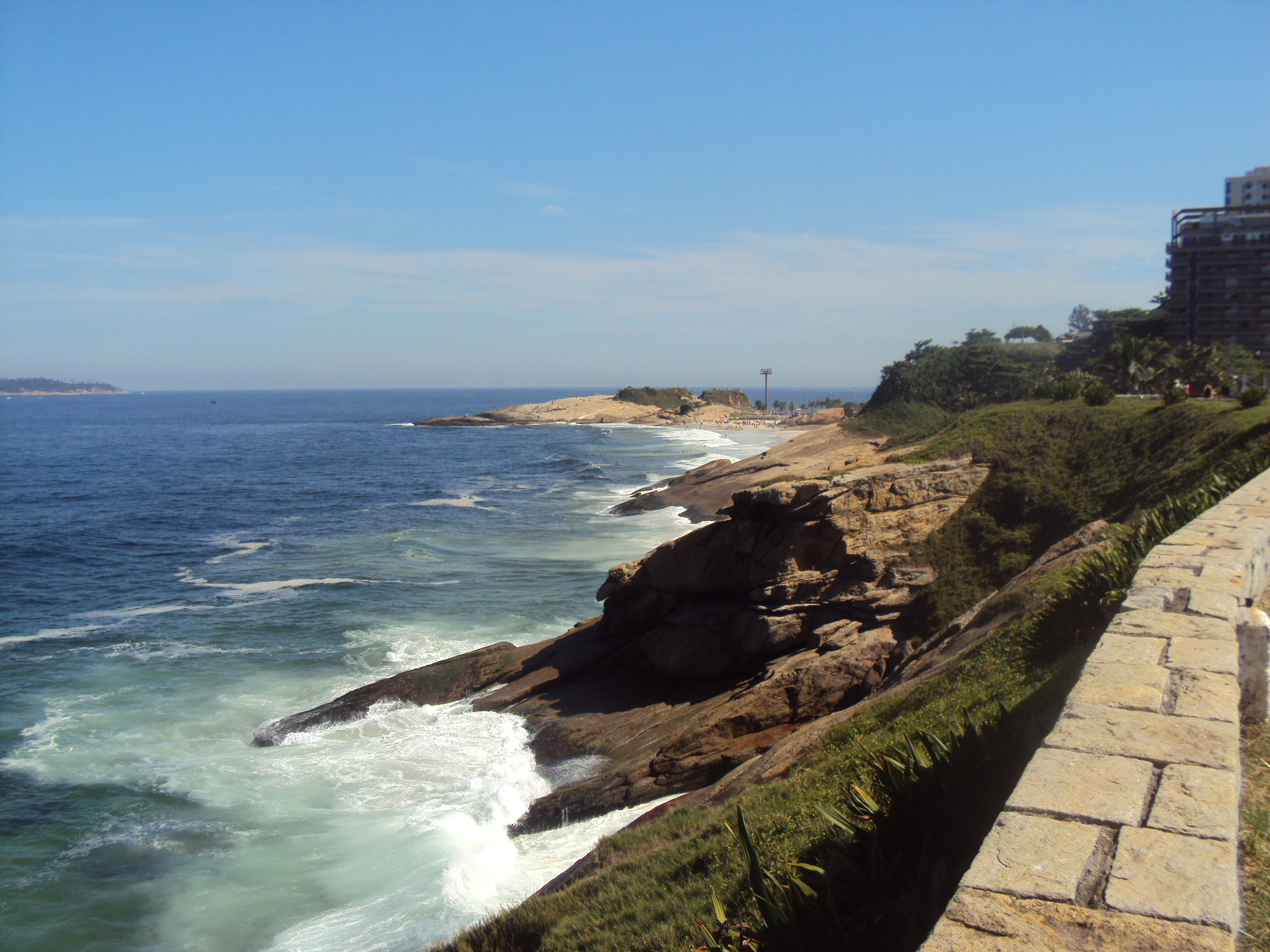 APA Apa das Pontas de Copacabana e Arpoador e Seus Entornos — Mata Atlântica