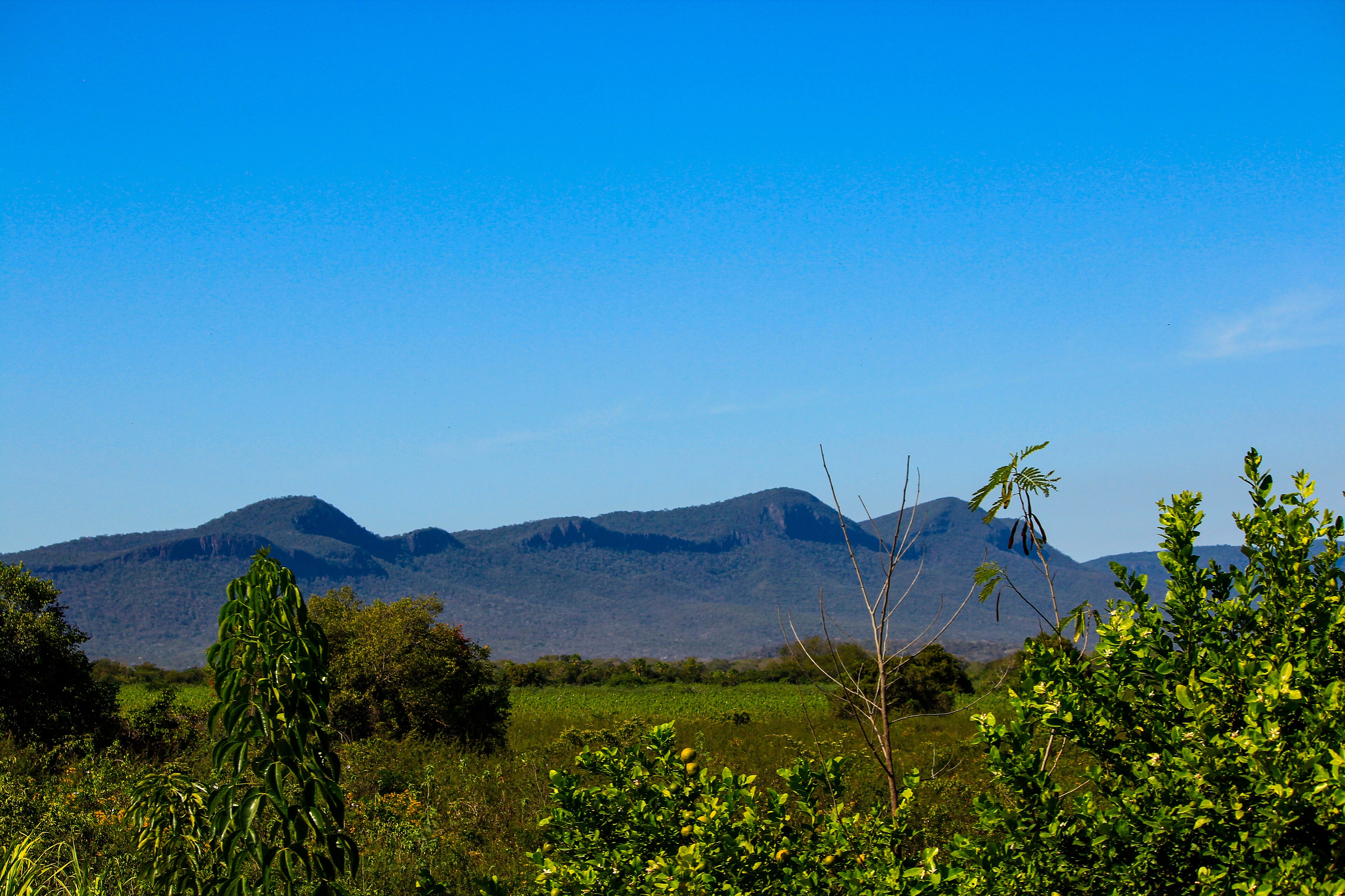 APA Baía Negra — Pantanal