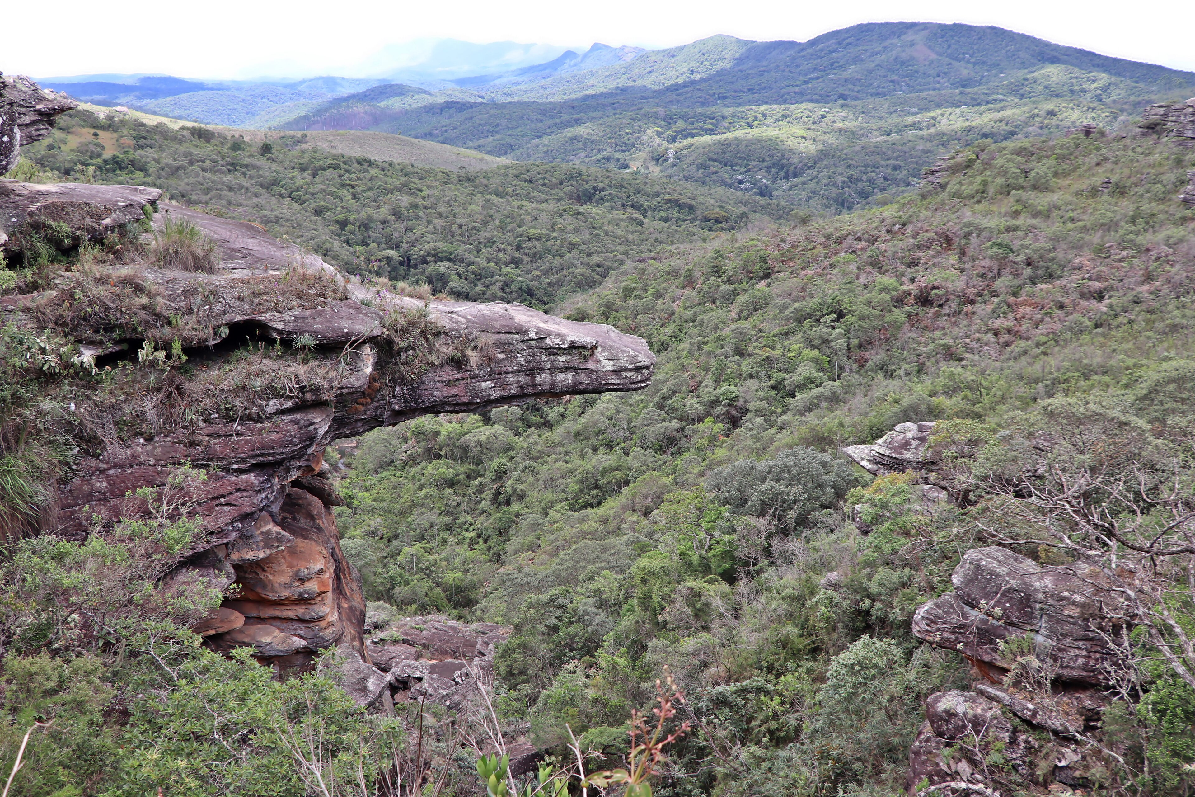 APA Cachoeira das Andorinhas — Mata Atlântica