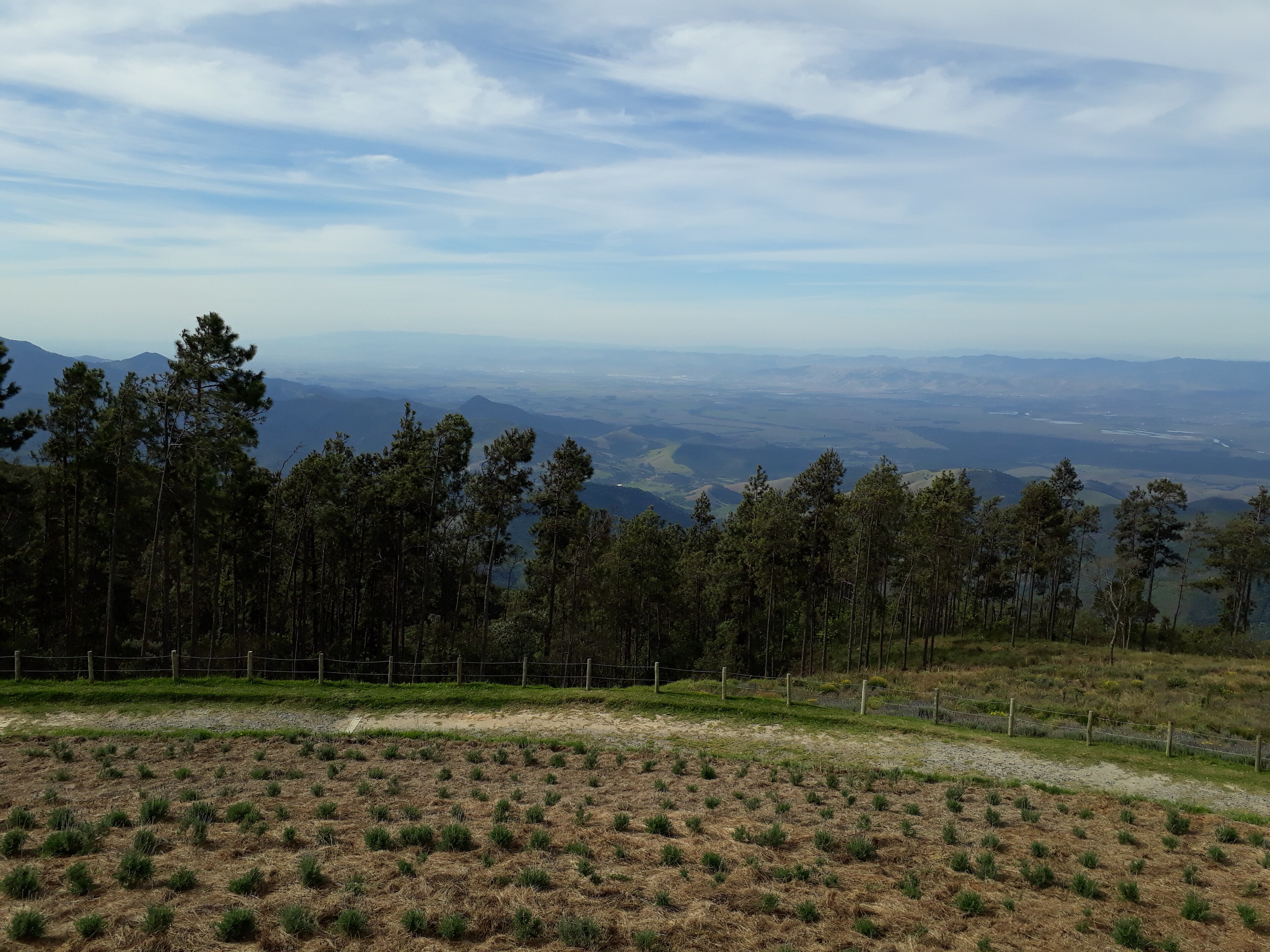 APA Cajati — Mata Atlântica