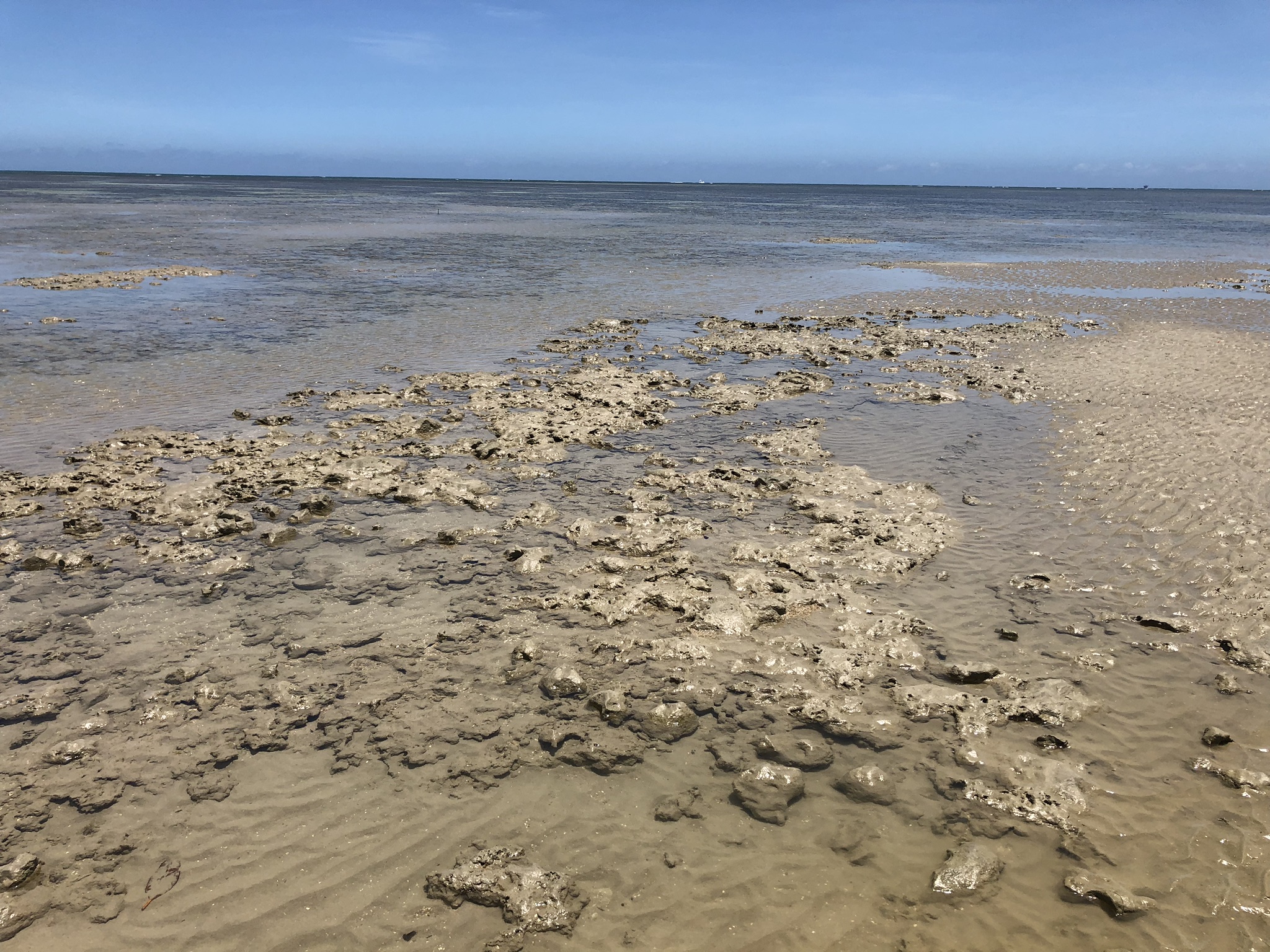 APA Caminhos Ecológicos da Boa Esperança — Mata Atlântica
