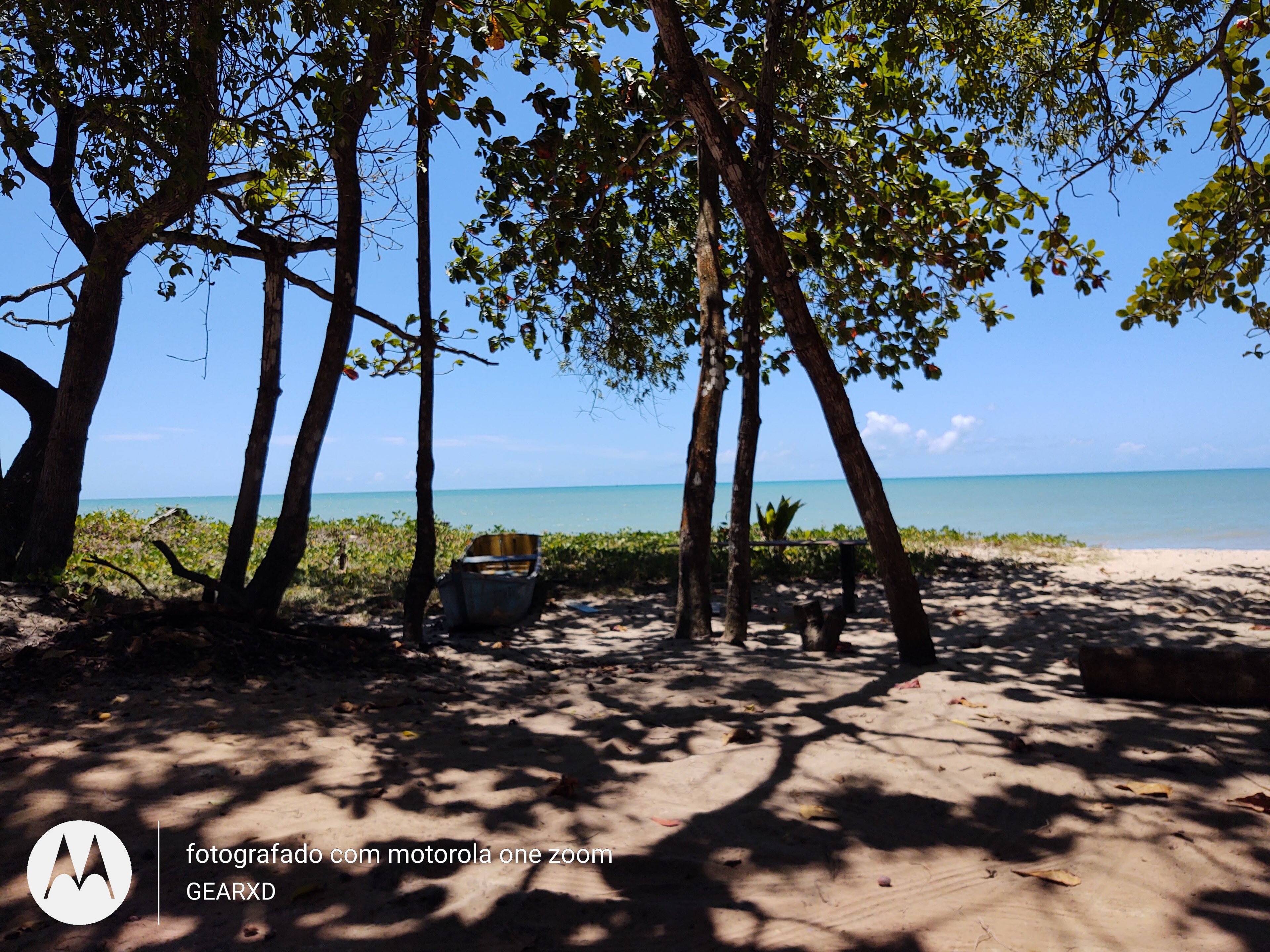 APA Caraíva/ Trancoso — Mata Atlântica