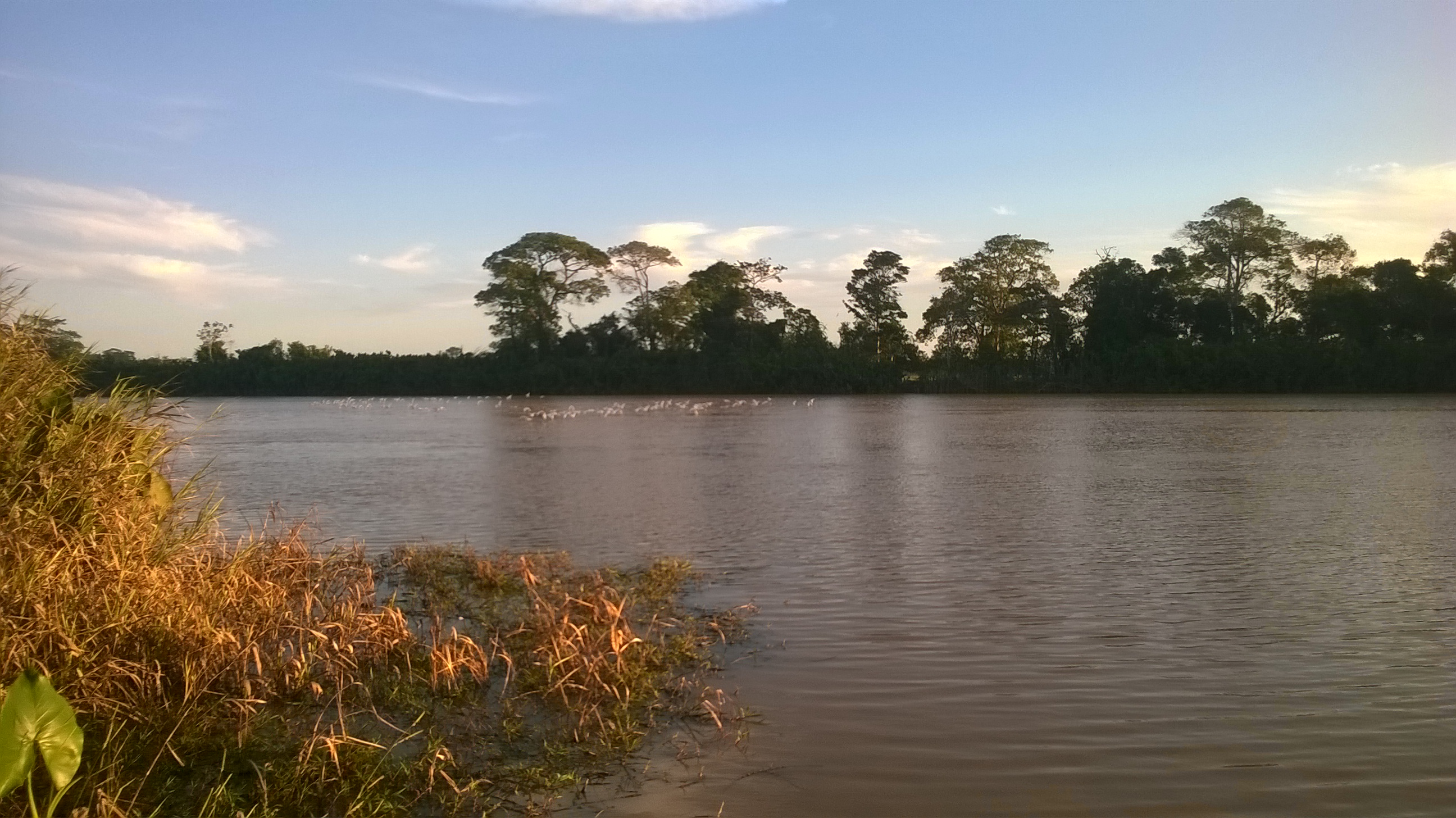APA Conceição da Barra — Mata Atlântica
