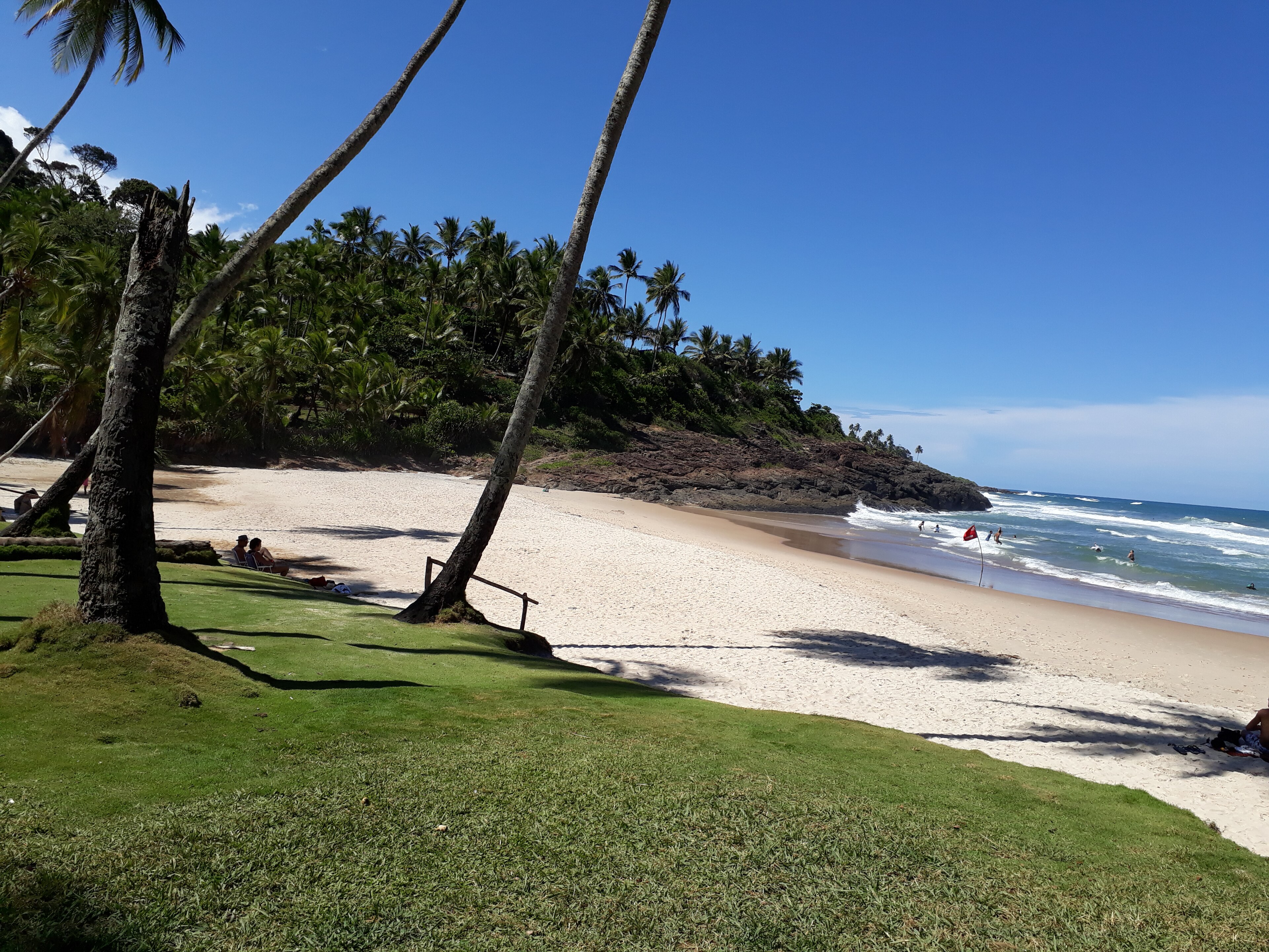 APA Costa de Itacaré/ Serra Grande — Mata Atlântica