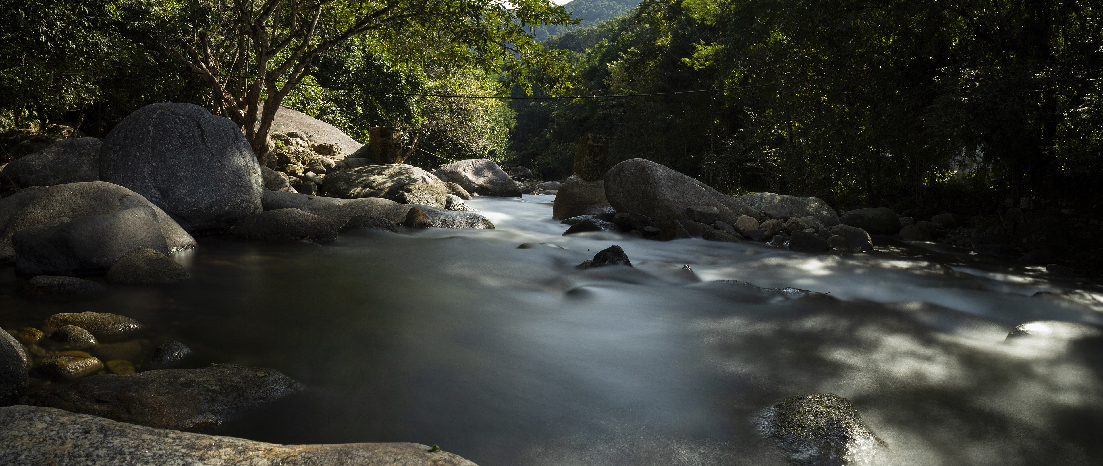 APA da Bacia do Rio Macacu — Mata Atlântica