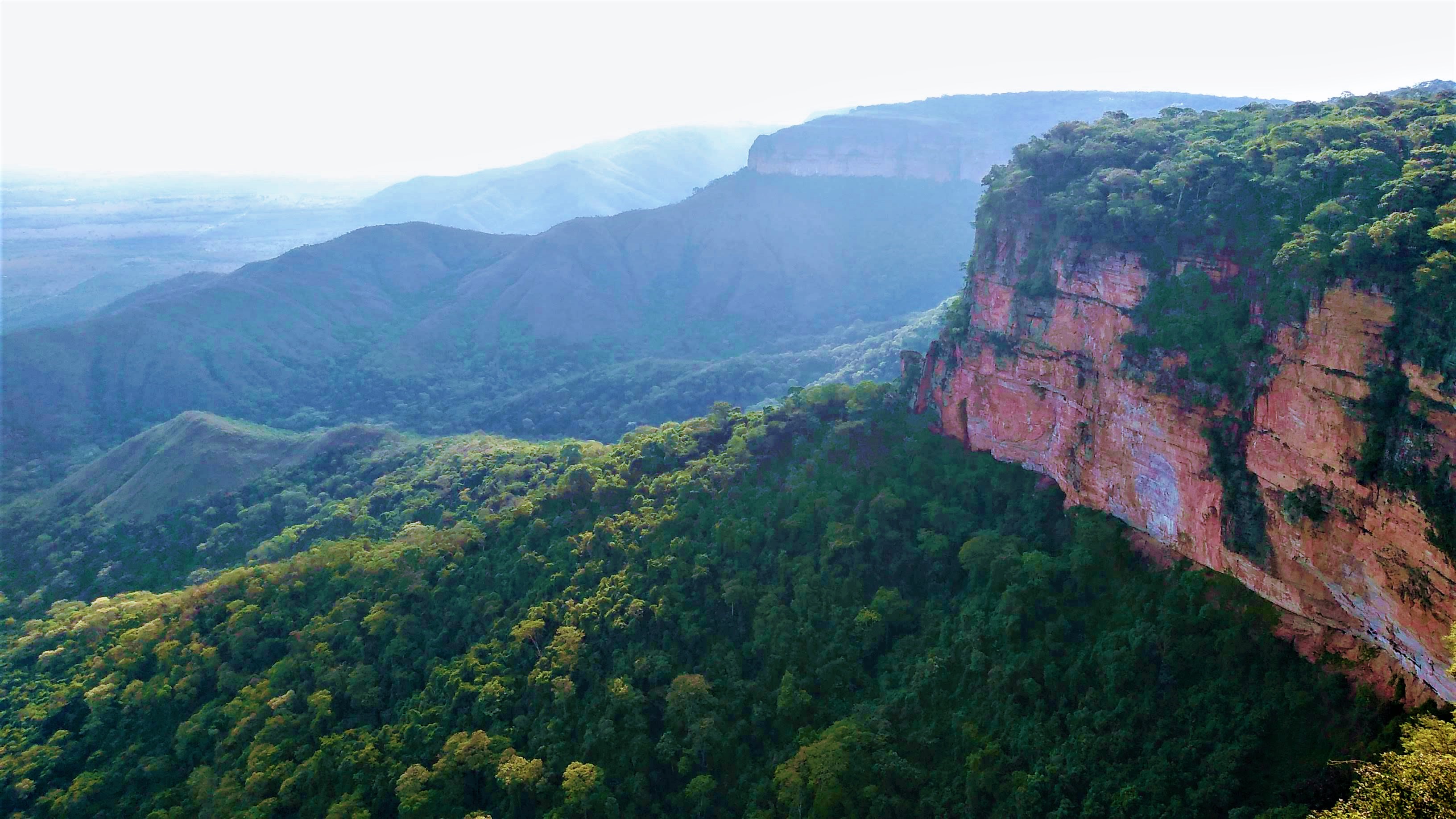 APA da Chapada dos Guimarães — Cerrado