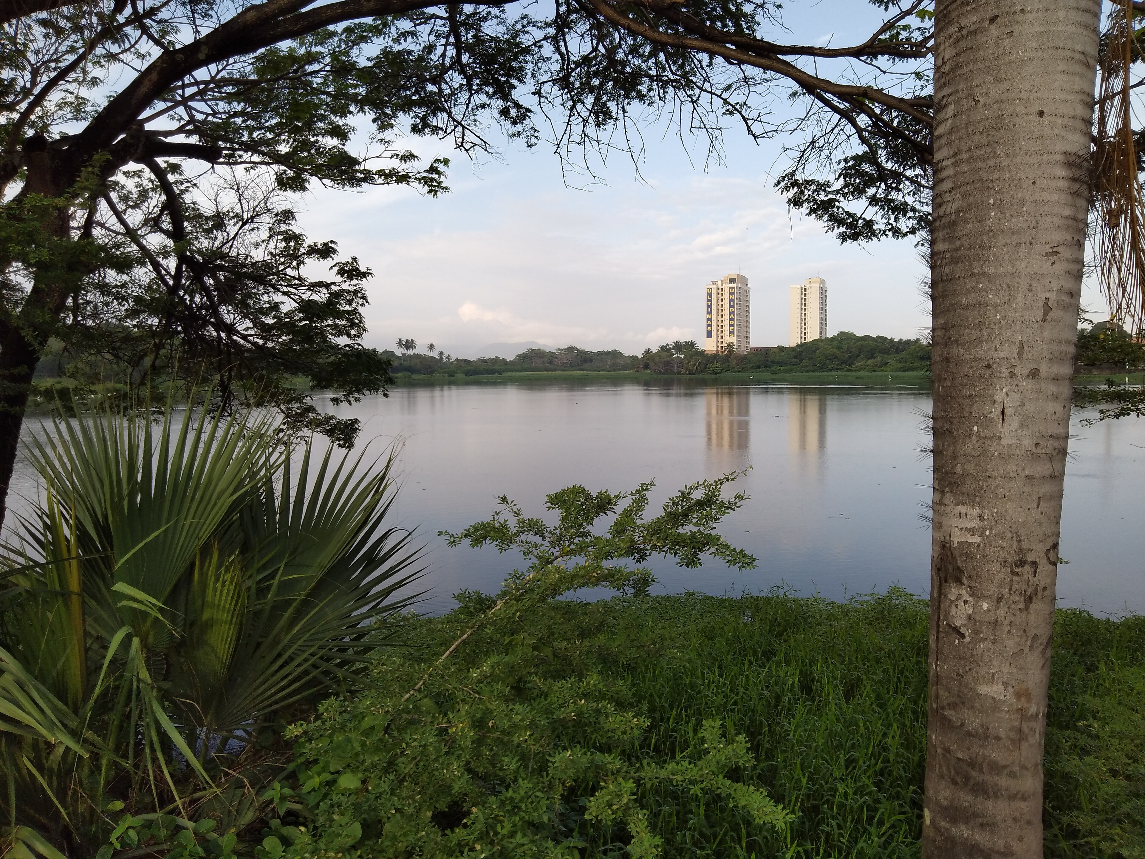 APA da Lagoa da Maraponga — Caatinga