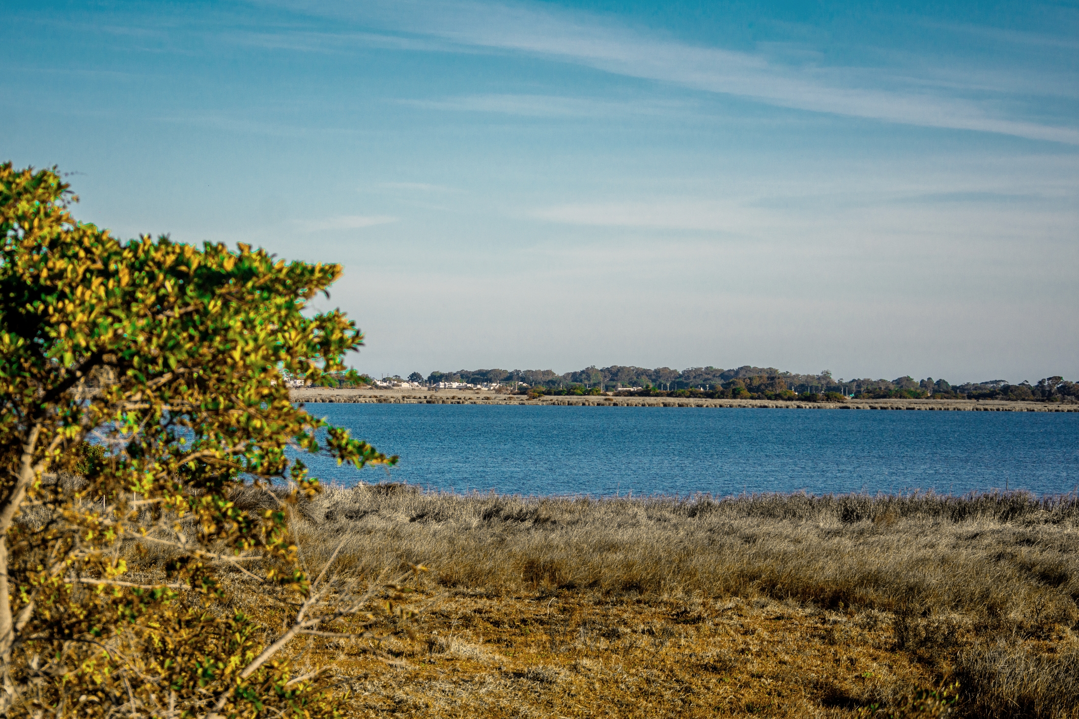 APA Area de Proteção Ambiental da Lagoa Verde — Pampa