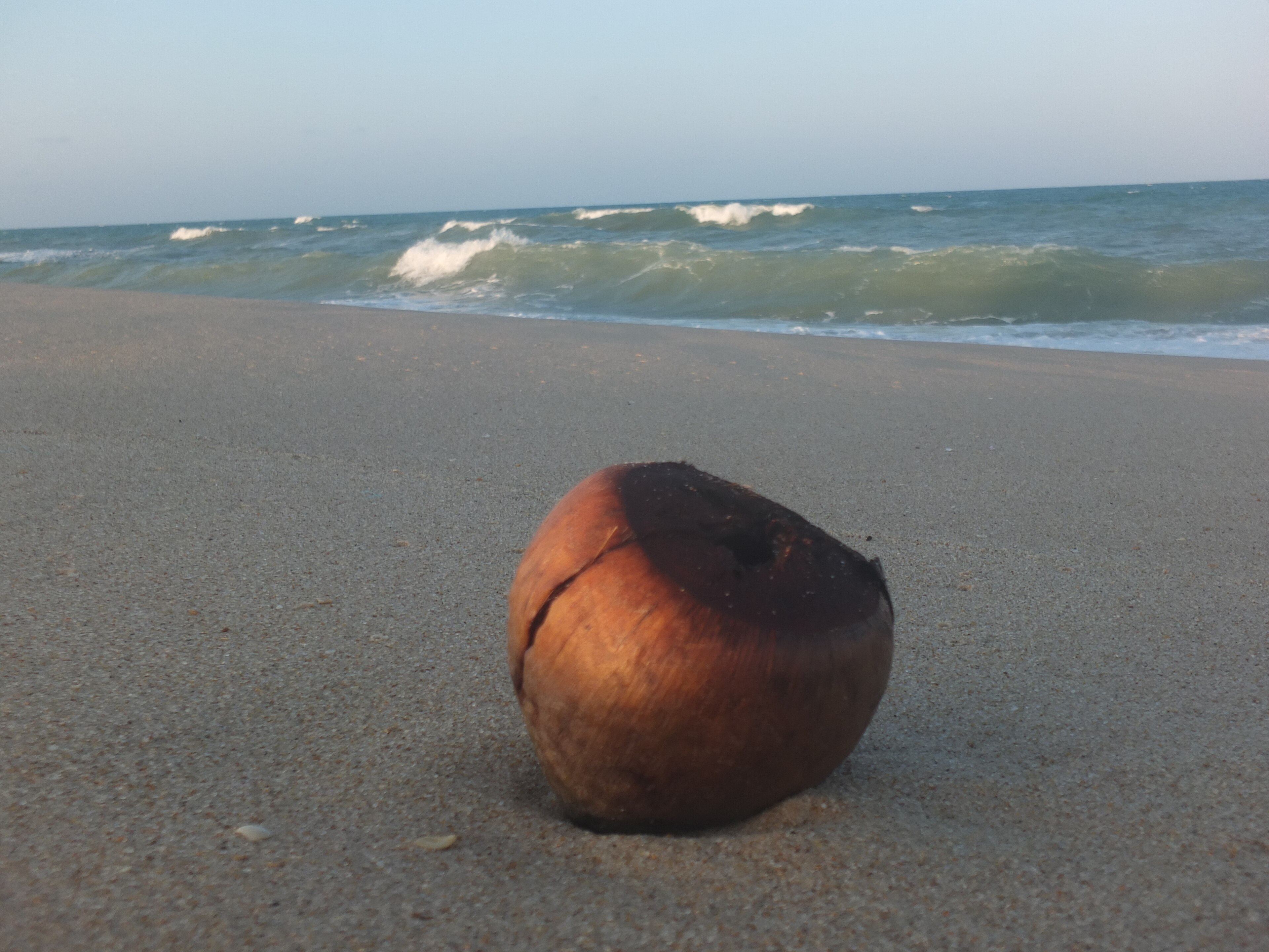 APA das Dunas do Litoral Oeste — Caatinga