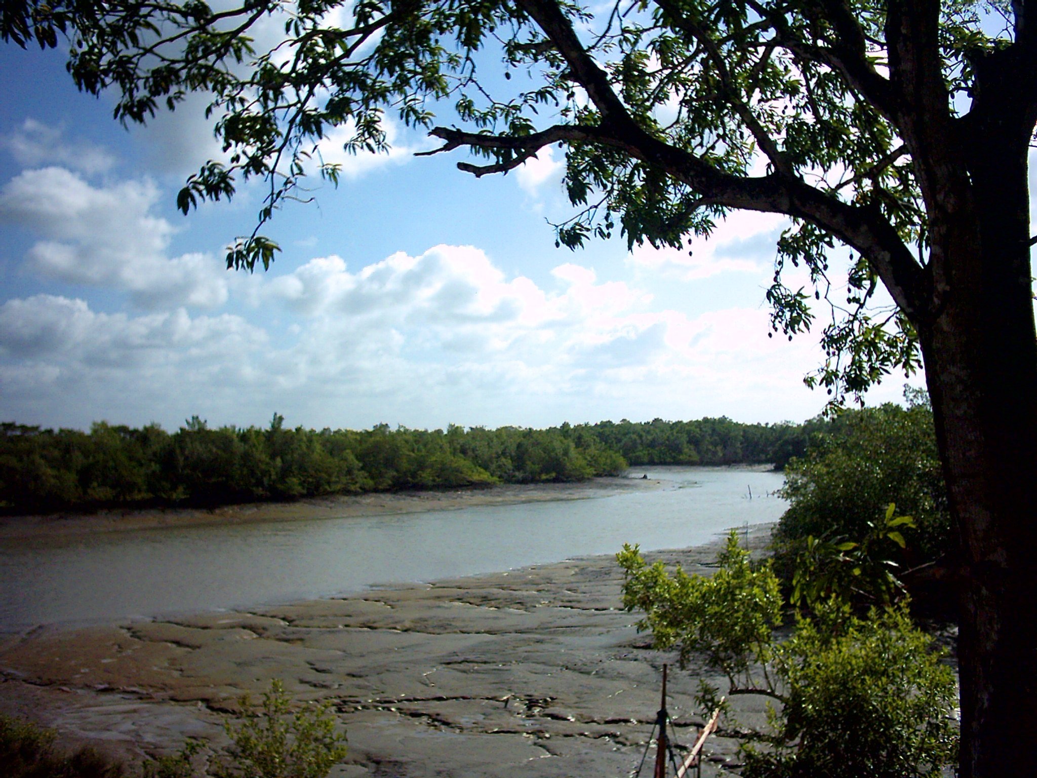APA das Reentrâncias Maranhenses — Área Marinha