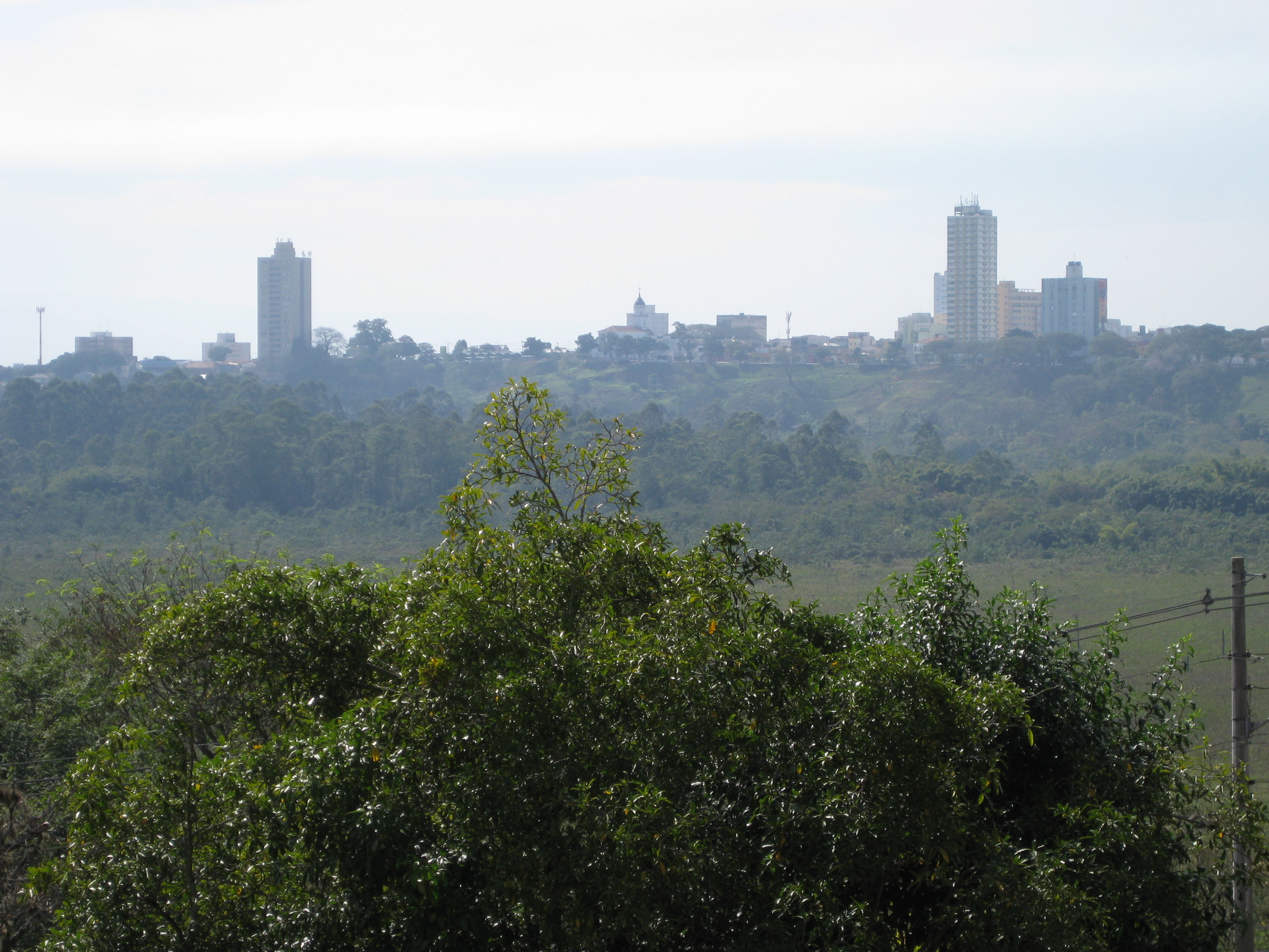 APA do Banhado — Mata Atlântica