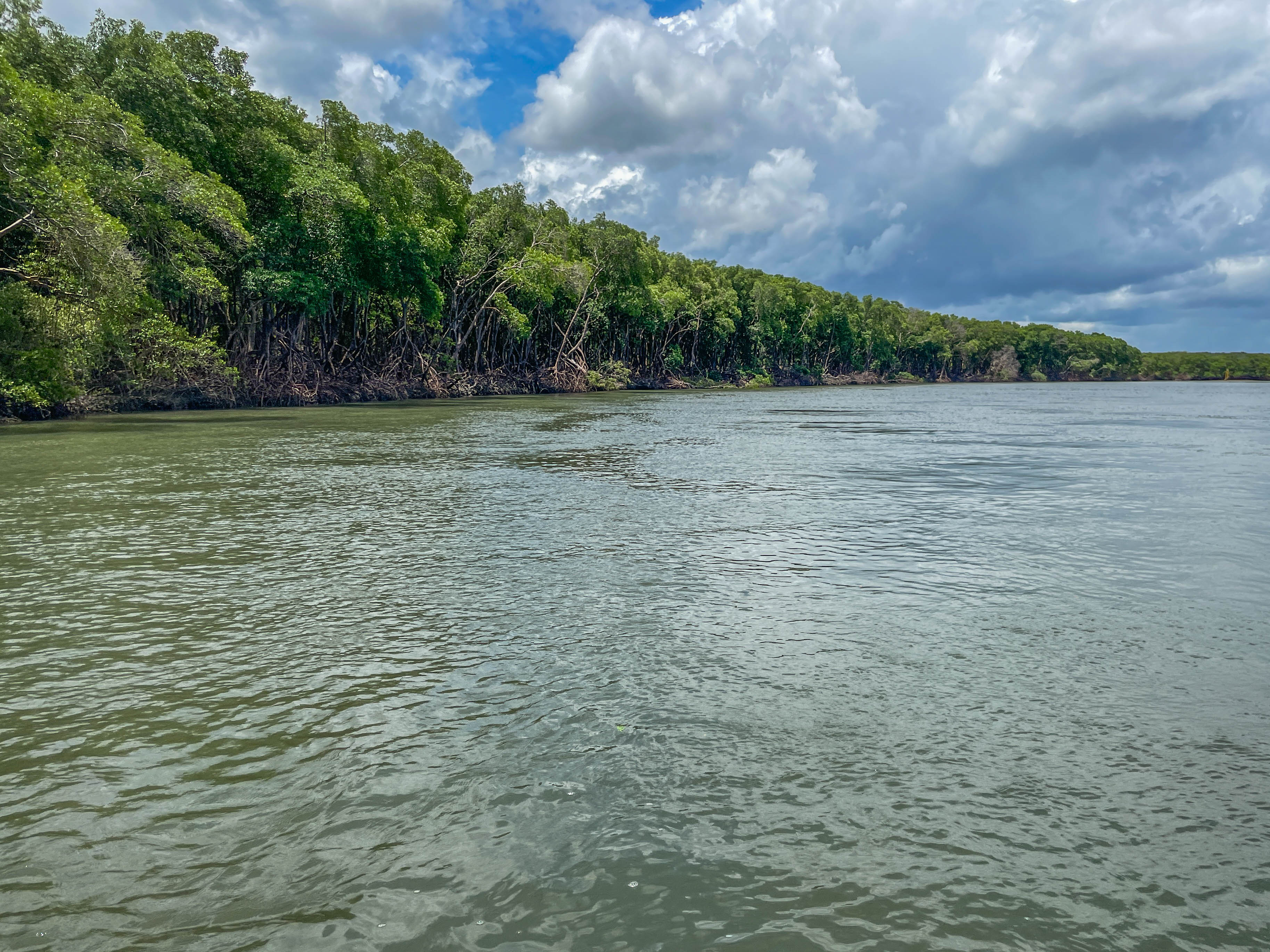 APA do Estuário do Rio Mundaú — Caatinga