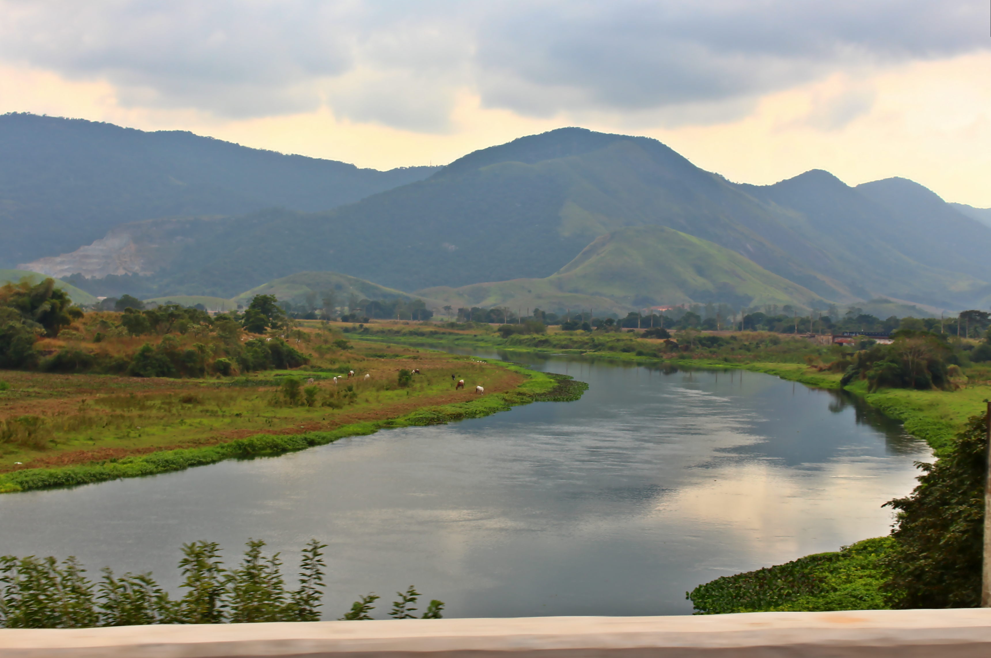 APA Area de Proteção Ambiental do Rio Guandu — Mata Atlântica