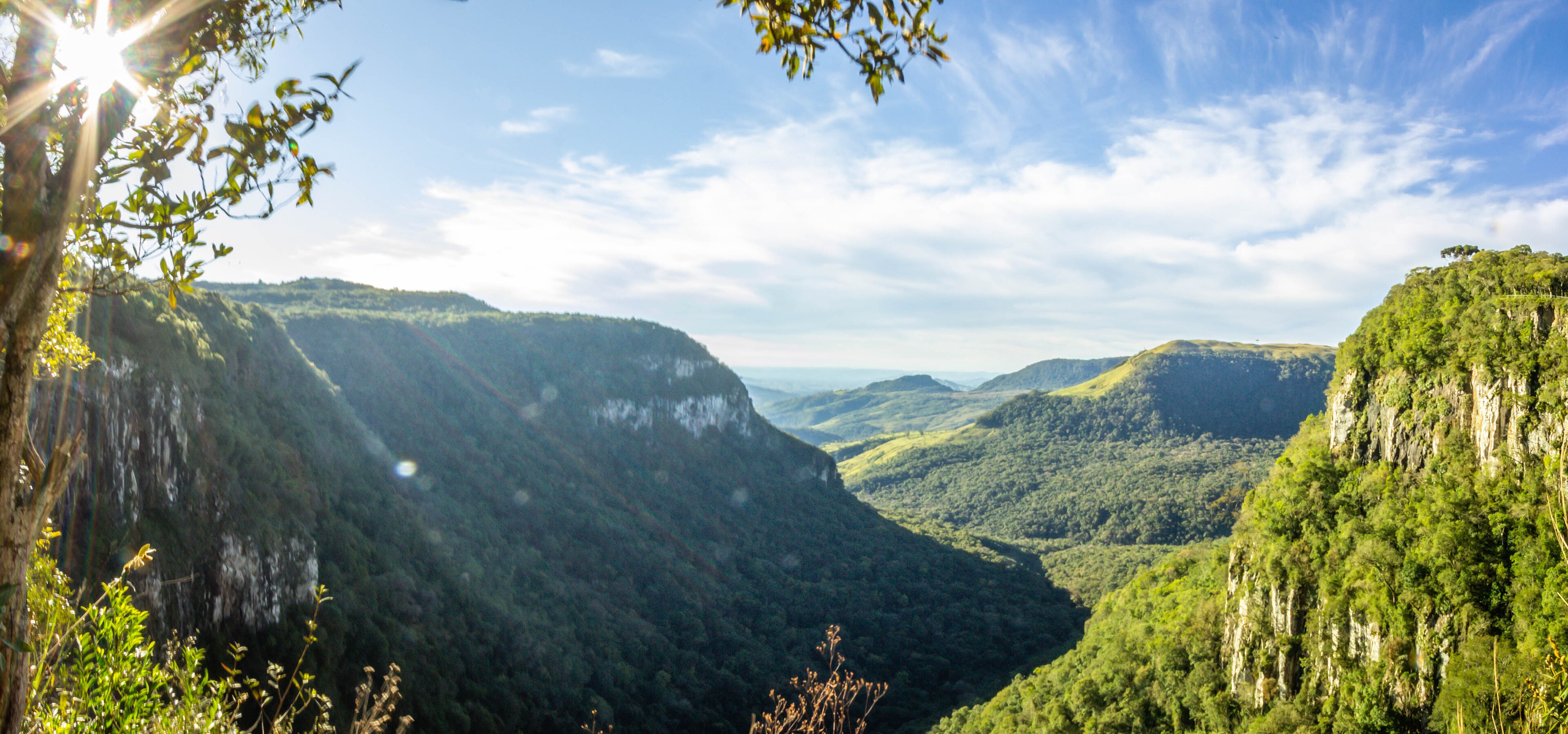 APA Estadual da Serra da Esperança — Mata Atlântica