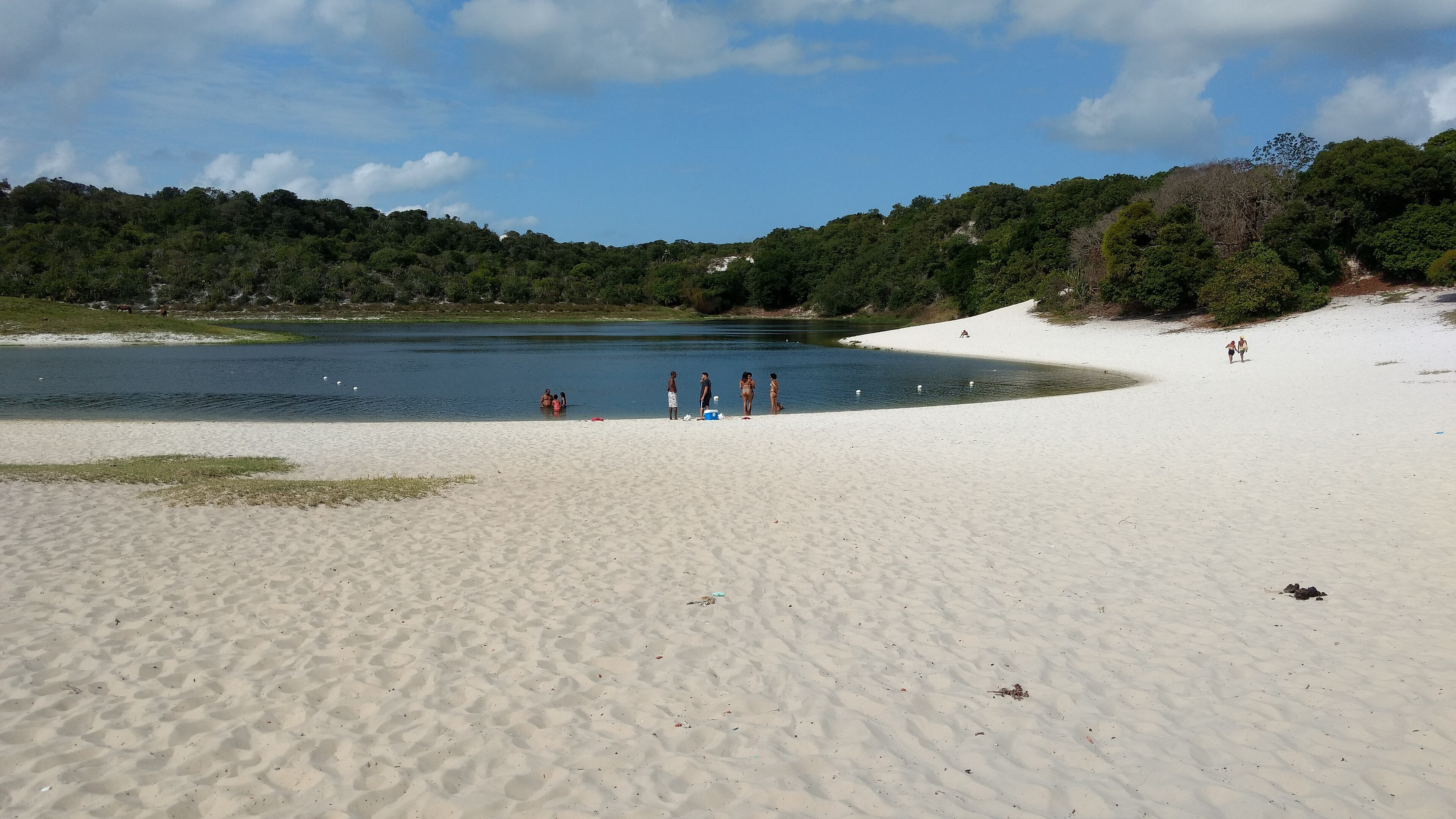 APA Lagoas e Dunas do Abaeté — Mata Atlântica