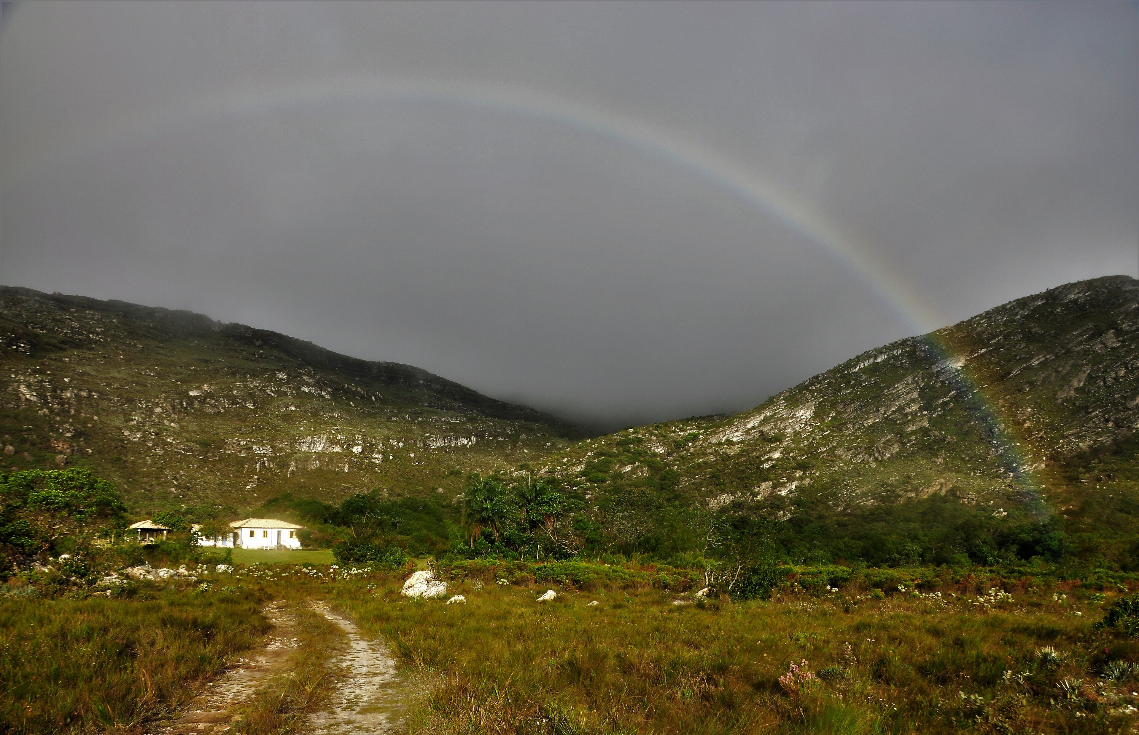 APA Morro da Pedreira — Cerrado