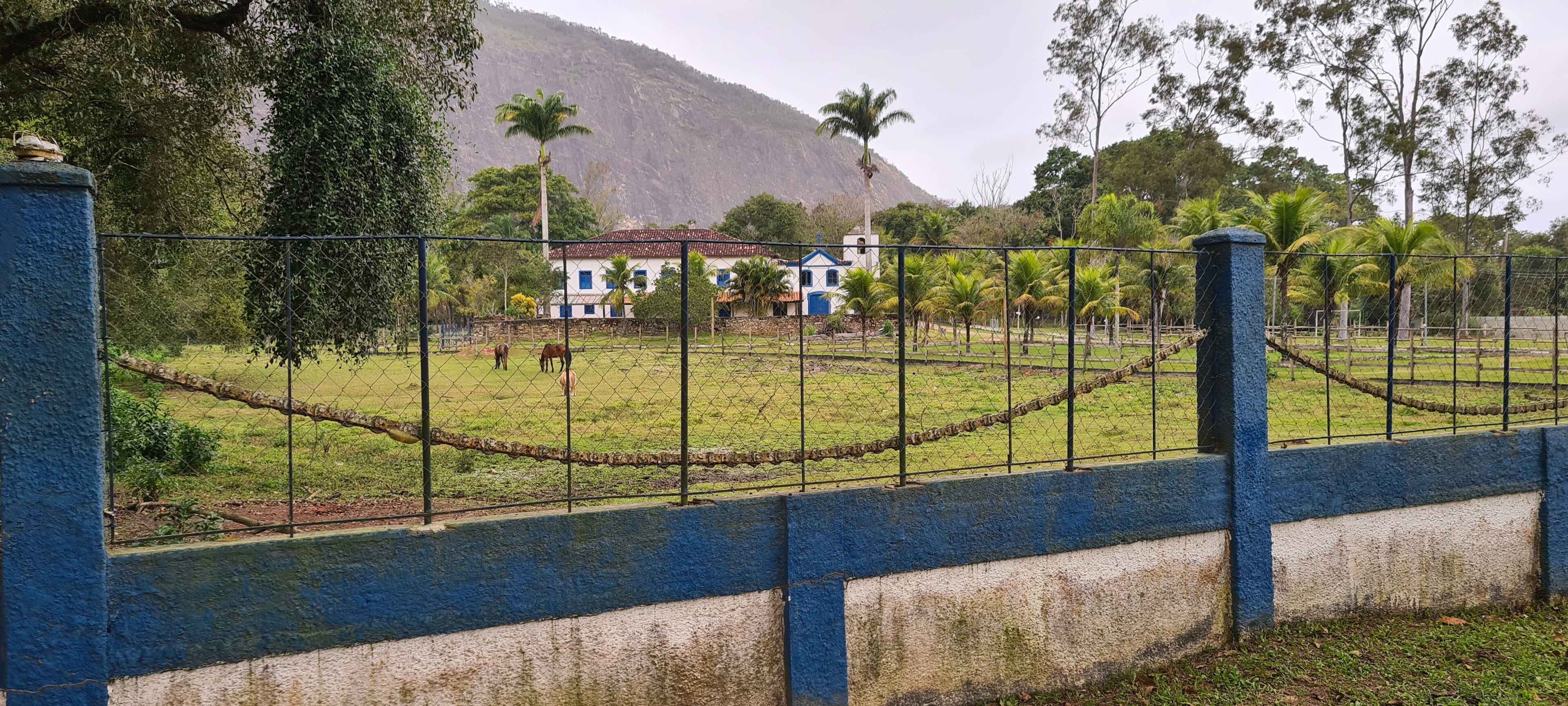 APA Municipal das Serras de Maricá — Mata Atlântica