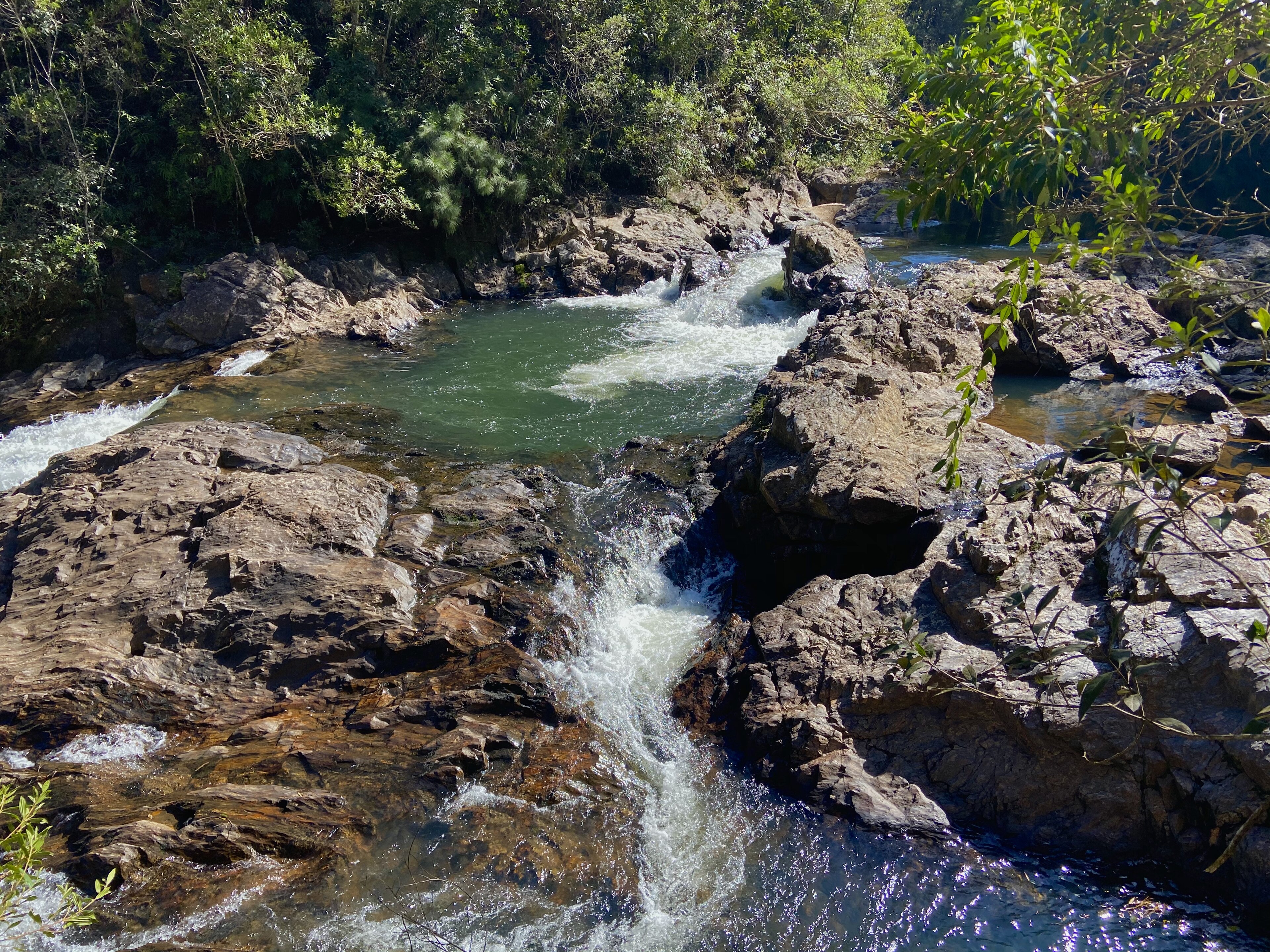 APA Municipal do Capivari-monos — Mata Atlântica