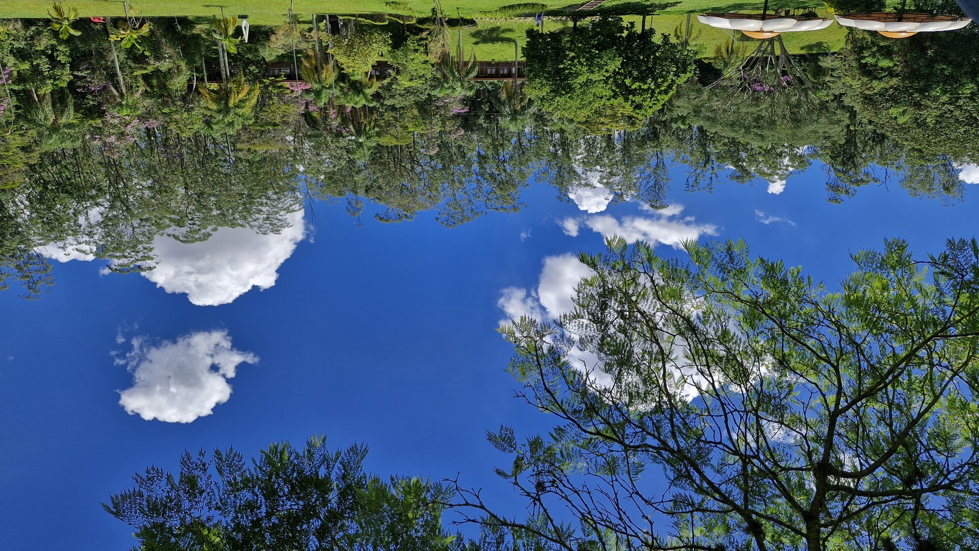 APA Parque e Fazenda do Carmo — Mata Atlântica