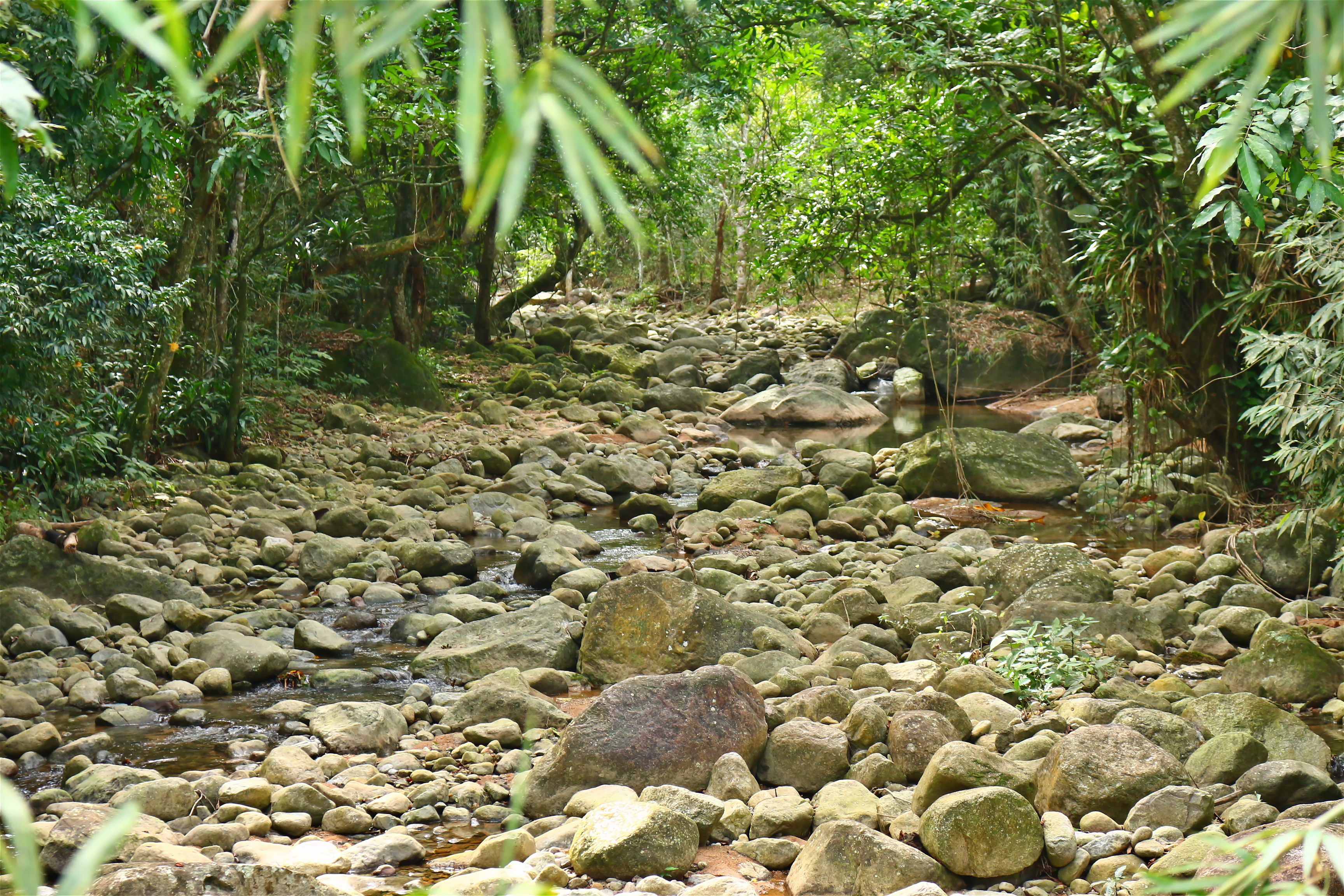 APA Àrea de Proteção Ambiental Rio D´ouro — Mata Atlântica