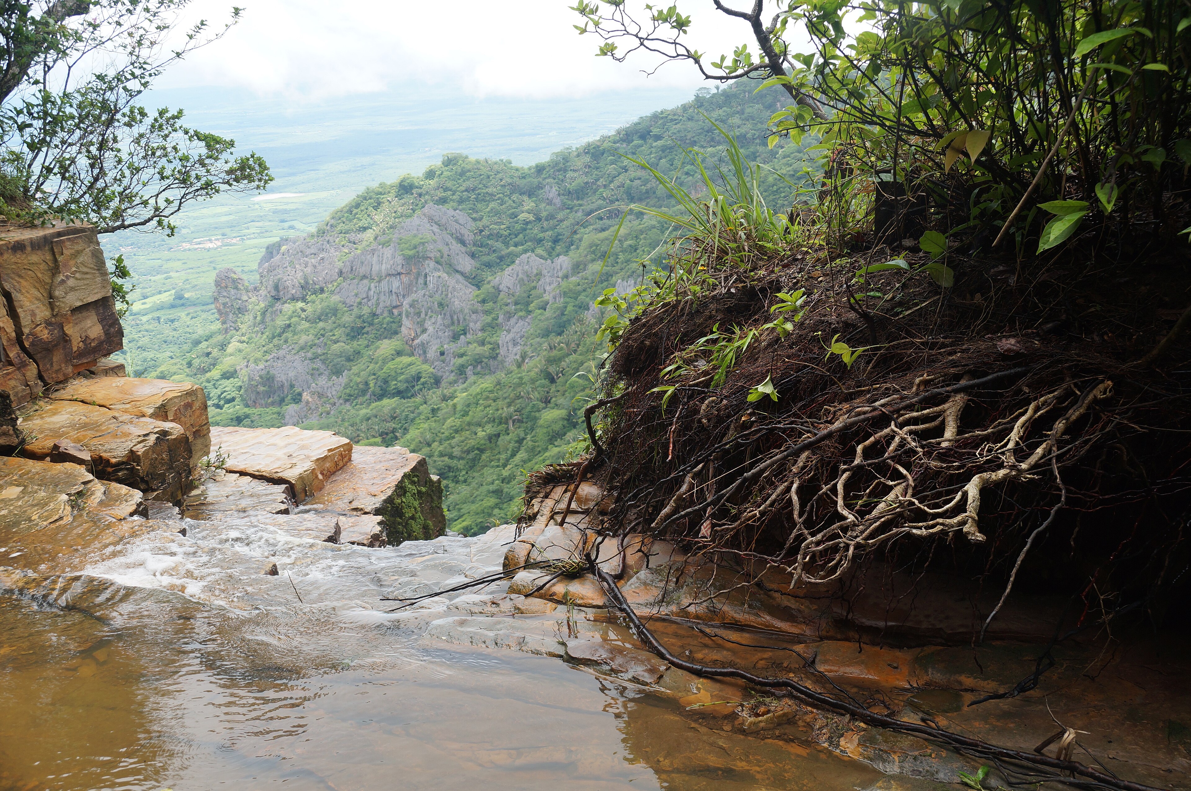 APA Serra da Ibiapaba — Caatinga