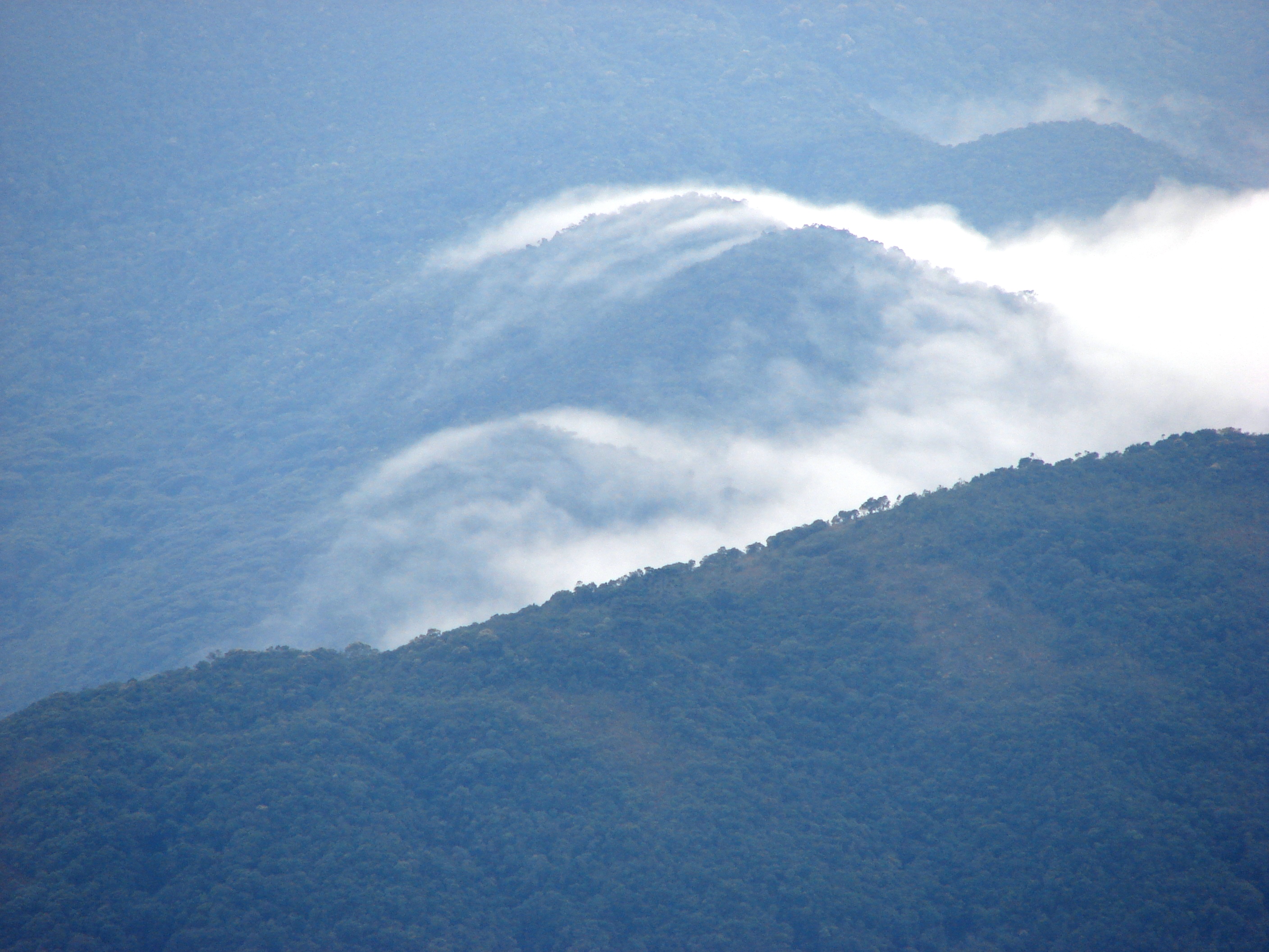 APA Serra da Mantiqueira — Mata Atlântica