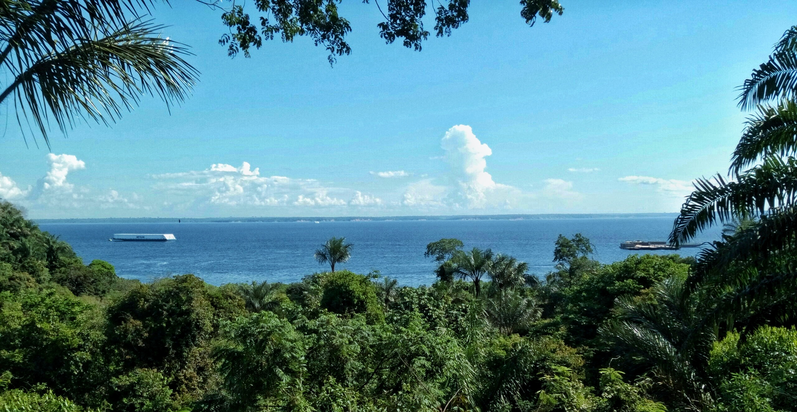 APA Area de Proteção Ambiental Taruma/ponta Negra — Amazônia