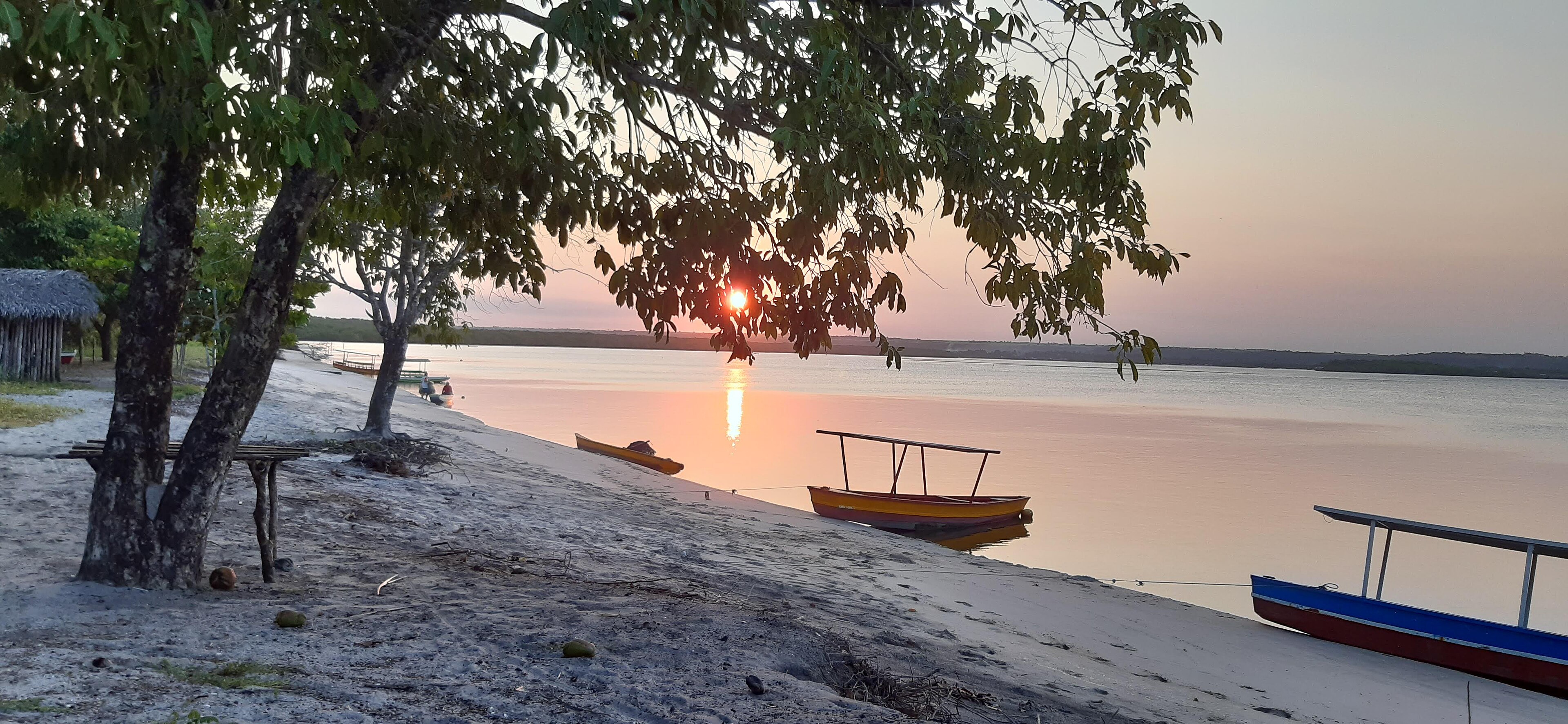 Área de Relevante Interesse Ecológico Manguezais da Foz do Rio Mamanguape — Mata Atlântica