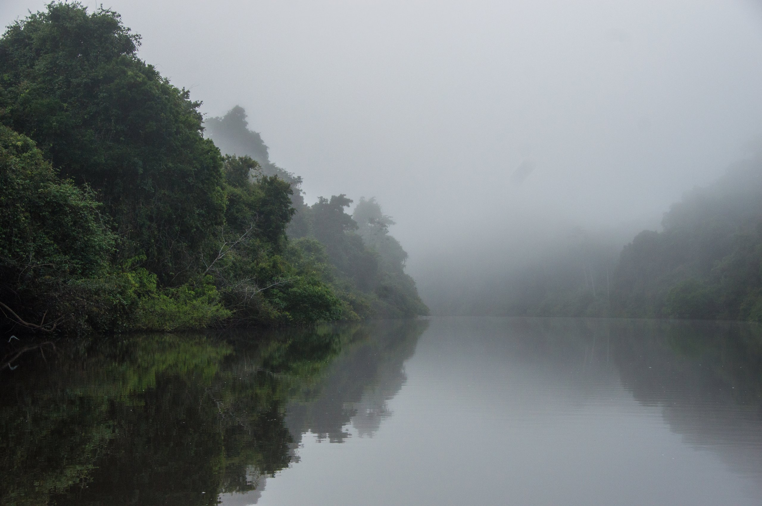 Estação Ecológica da Terra do Meio — Amazônia