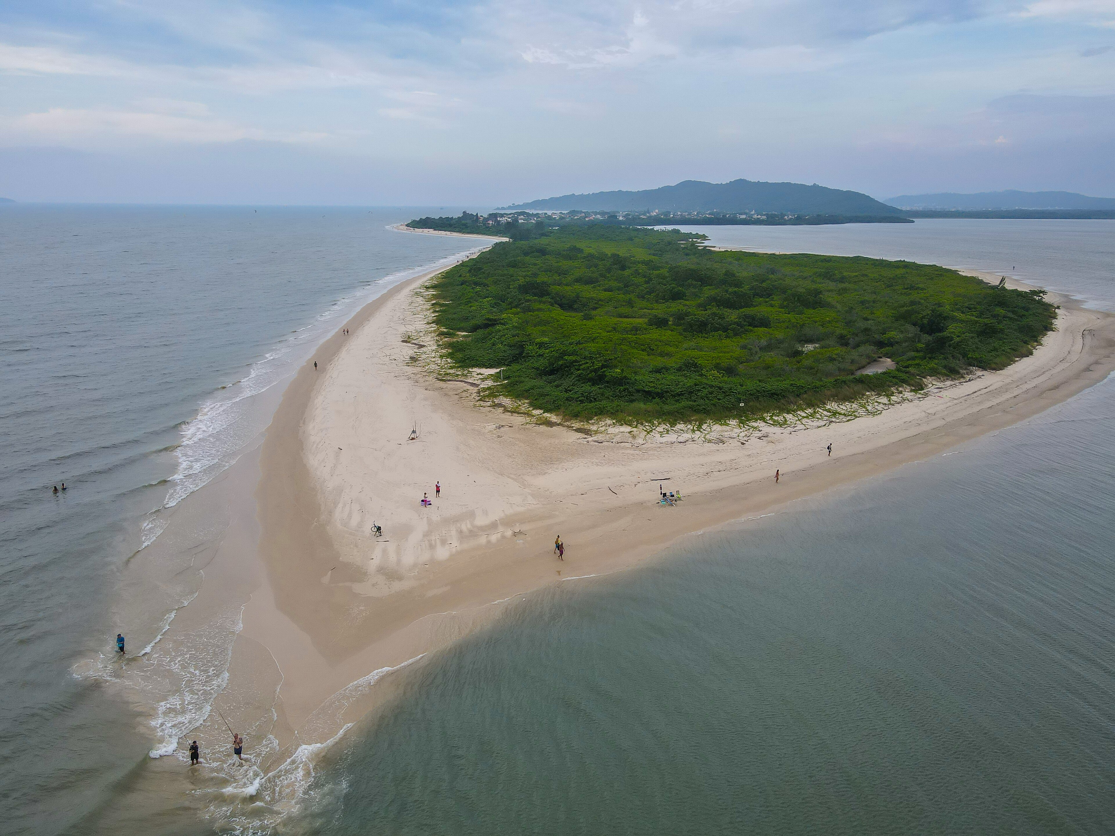 Estação Ecológica de Carijós — Mata Atlântica