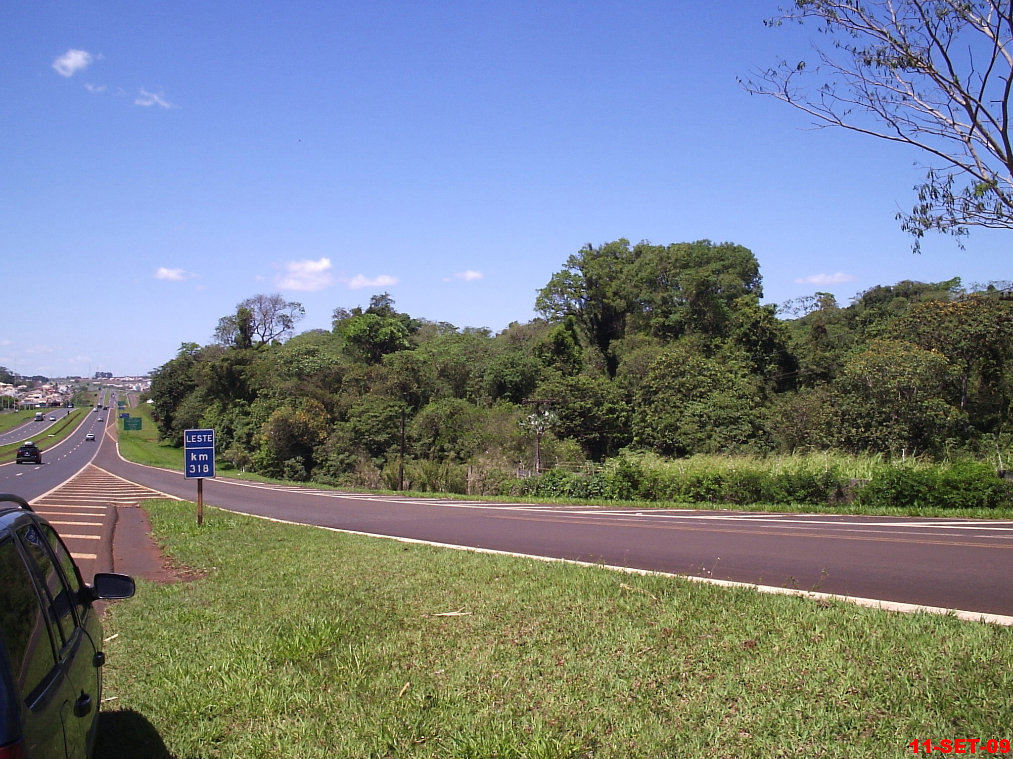 Estação Ecológica de Ribeirão Preto — Cerrado