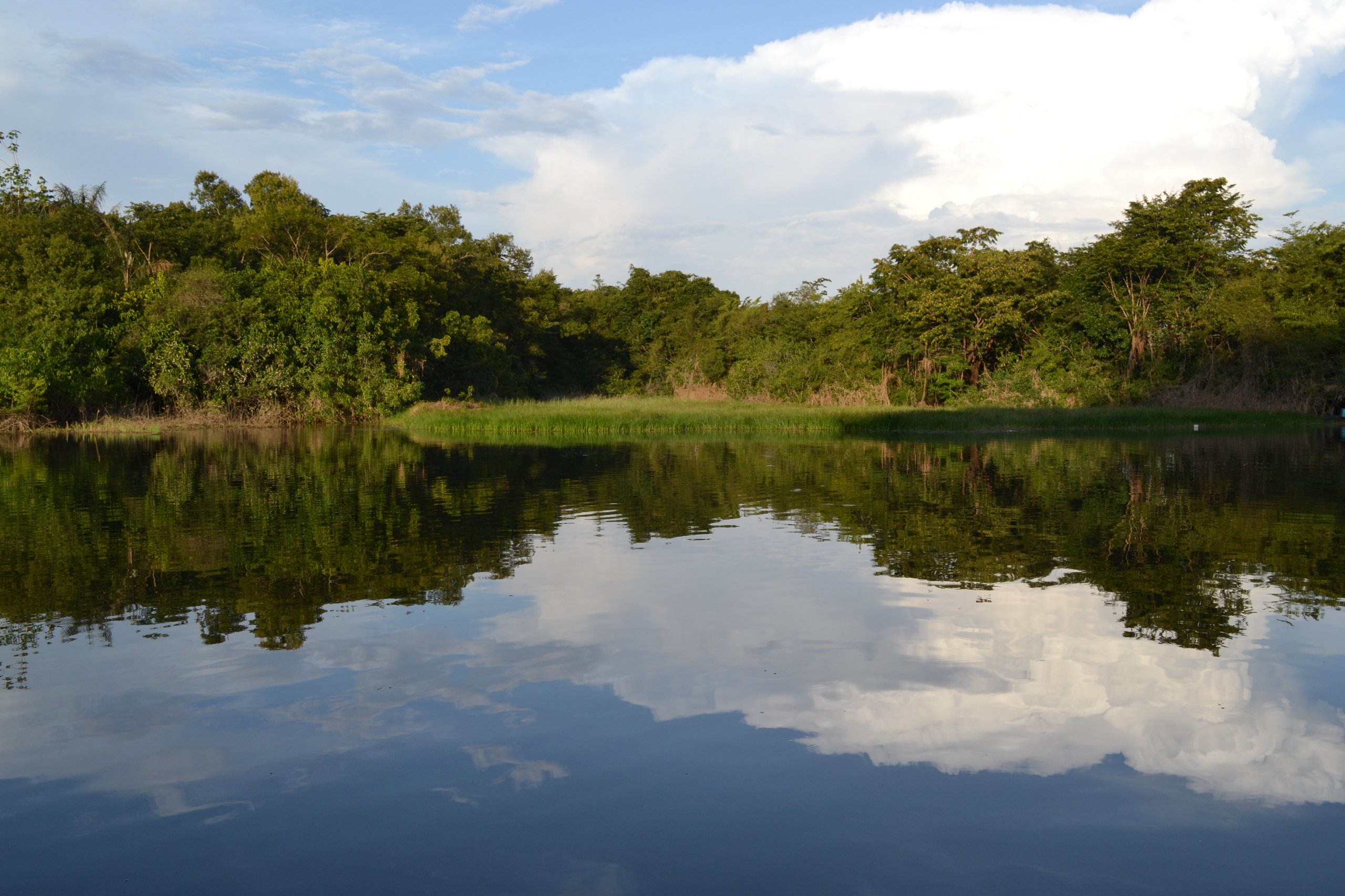 Estação Ecológica do Grão Pará — Amazônia