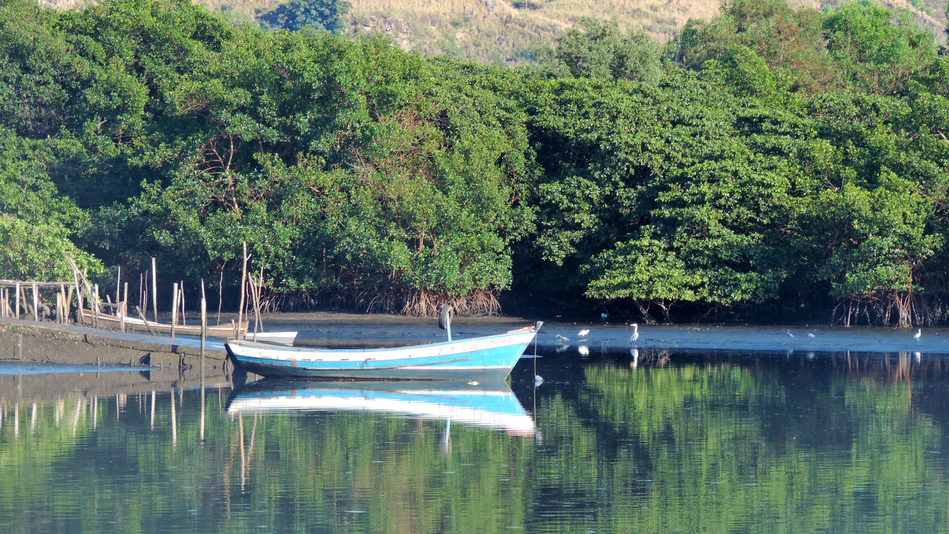 Estação Ecológica Municipal Ilha do Lameirão — Mata Atlântica