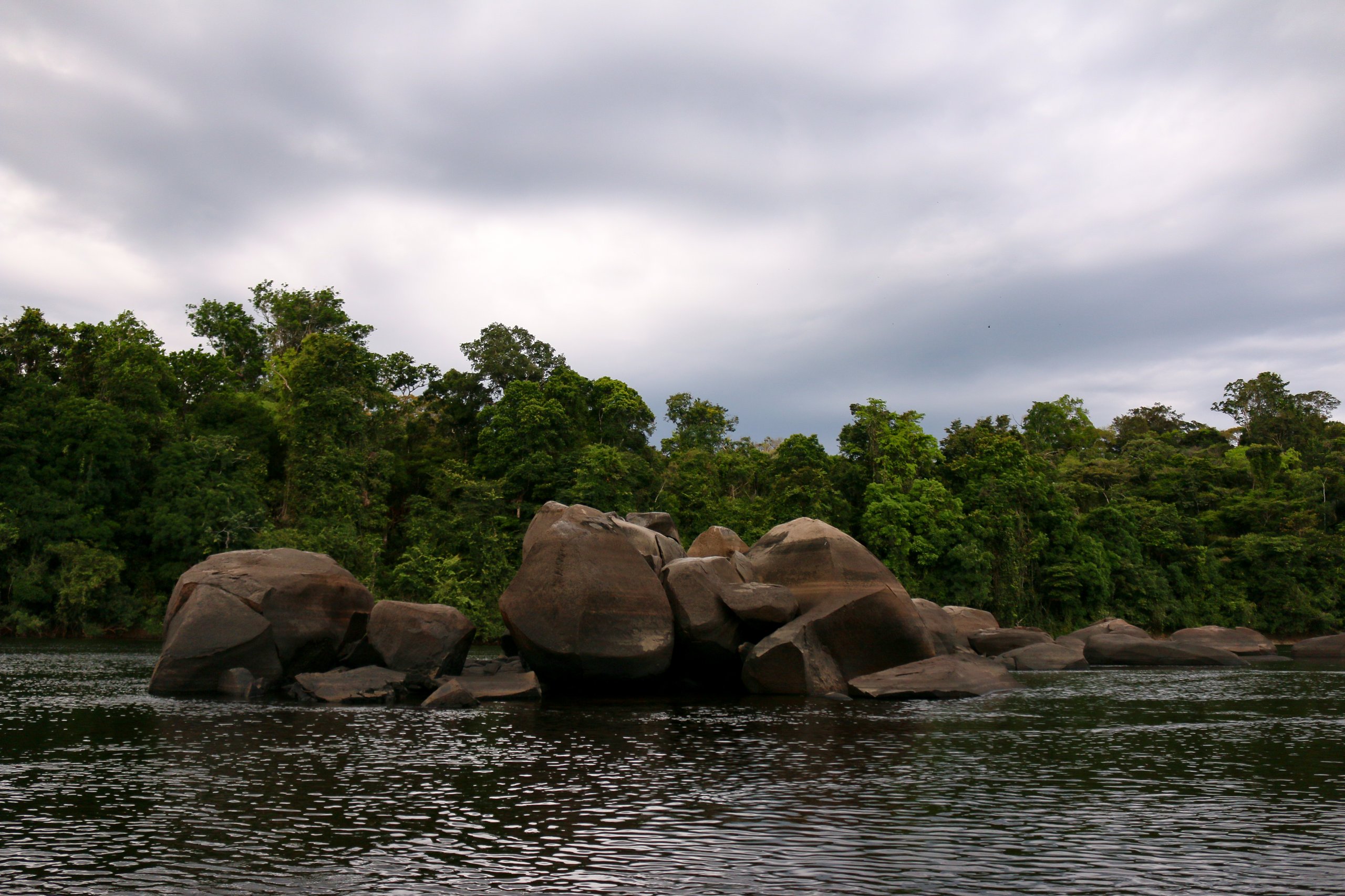 Floresta Estadual do Amapá — Amazônia