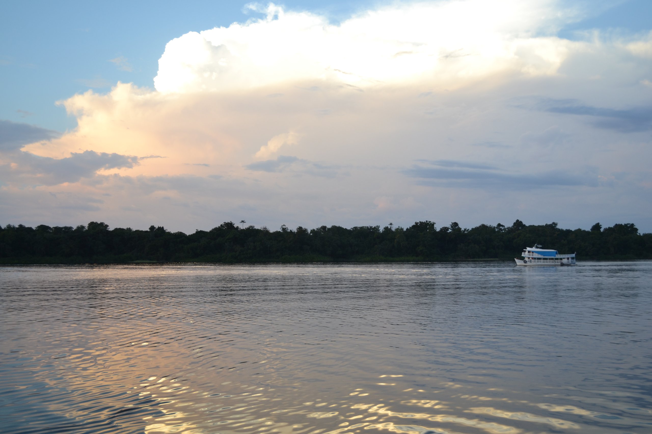 Floresta Estadual do Trombetas — Amazônia
