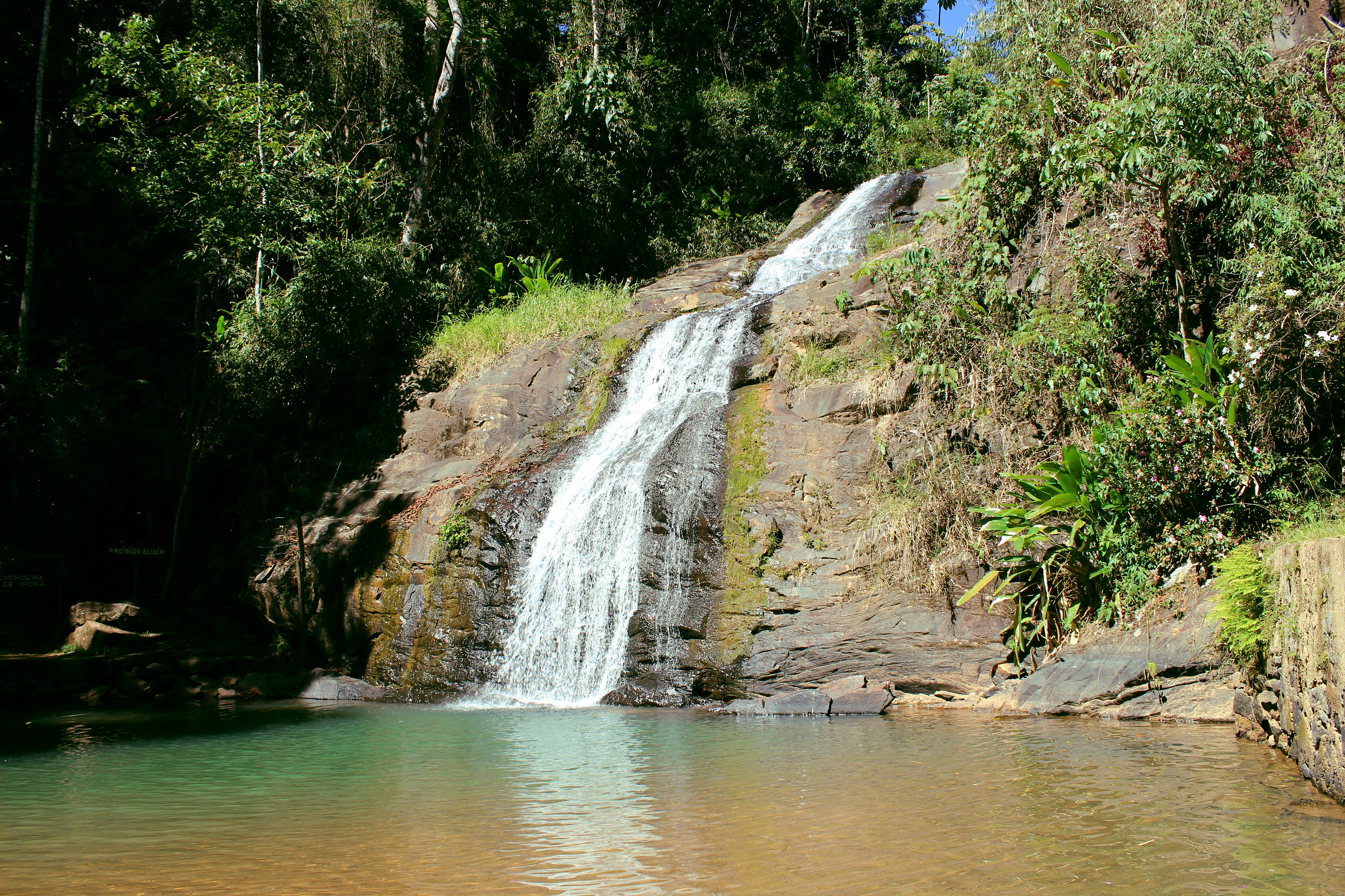Floresta Nacional de Passa Quatro — Mata Atlântica