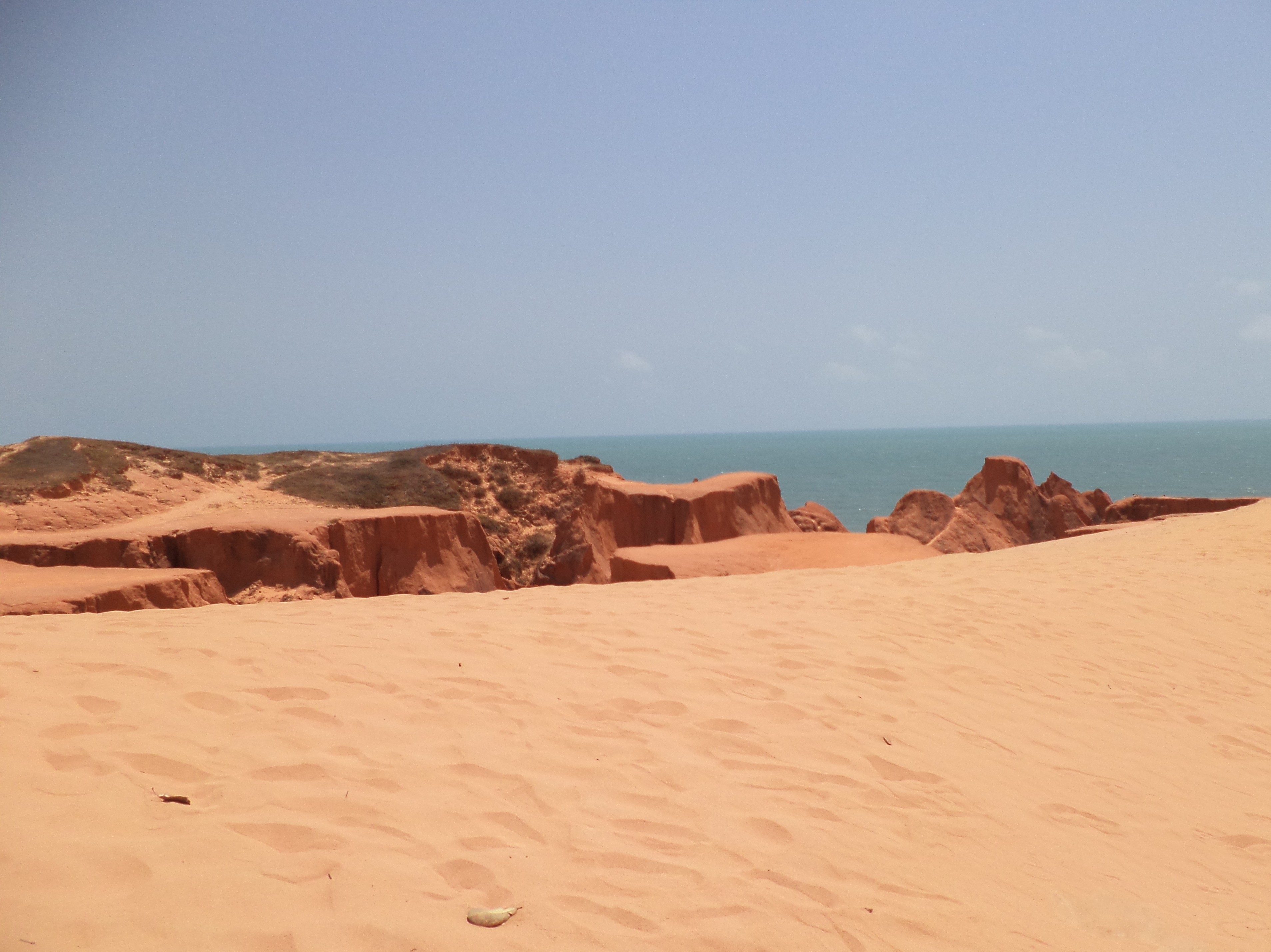 Monumento Natural das Falésias de Beberibe — Caatinga