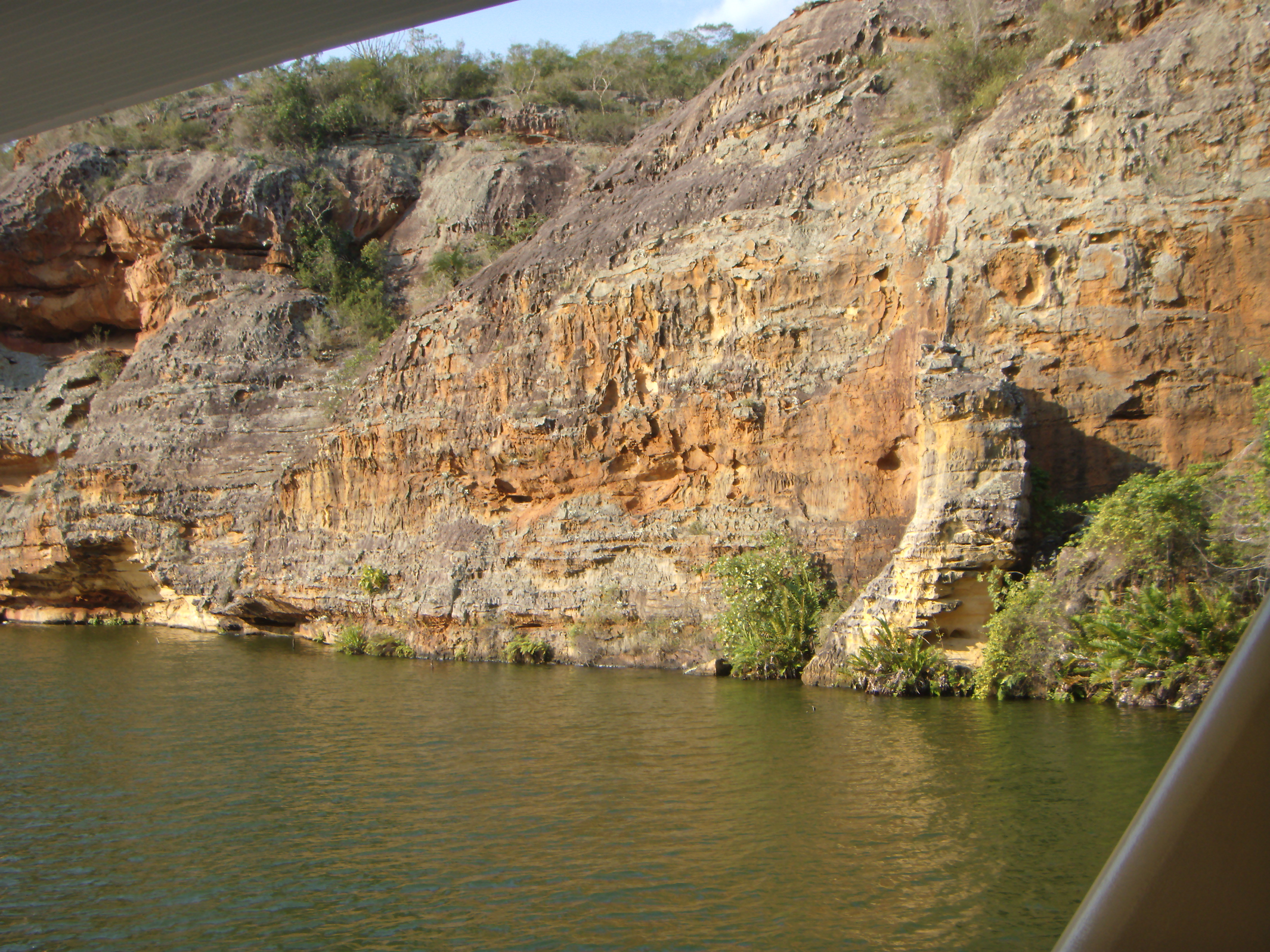 Monumento Natural do Rio São Francisco — Caatinga