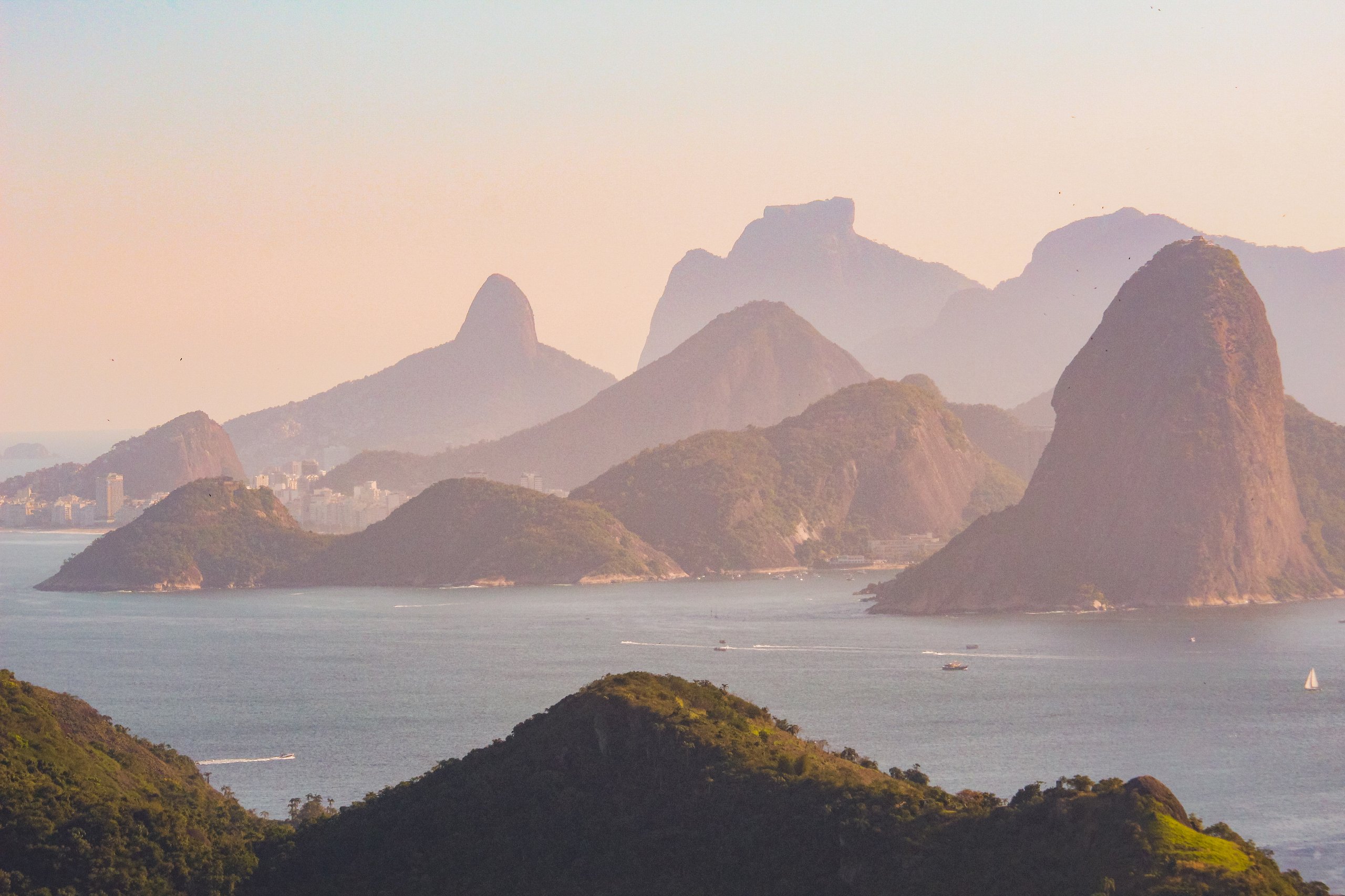 Monumento Natural dos Morros do Pão de Açúcar e Urca — Mata Atlântica
