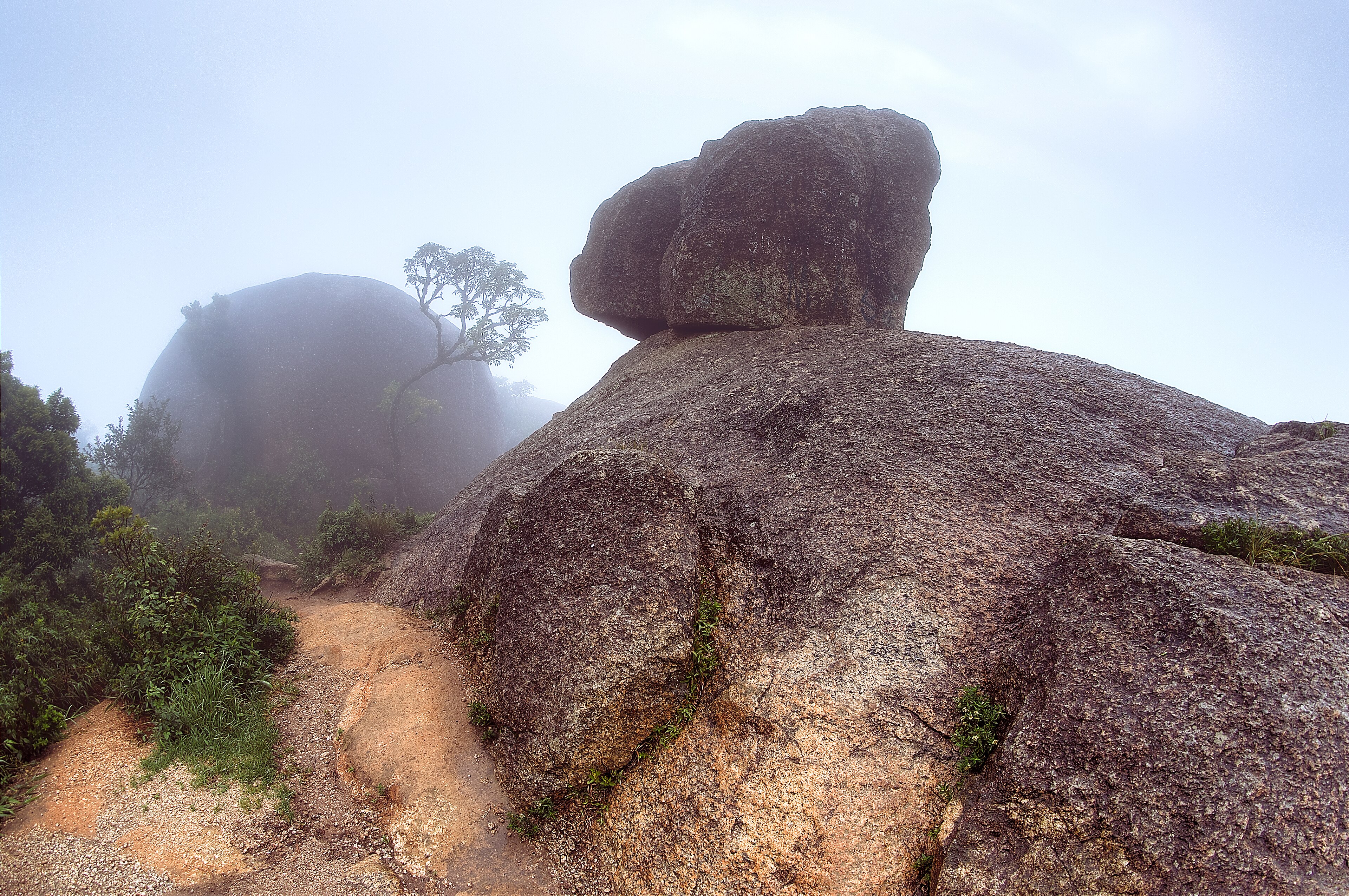 Monumento Natural Estadual da Pedra Grande — Mata Atlântica