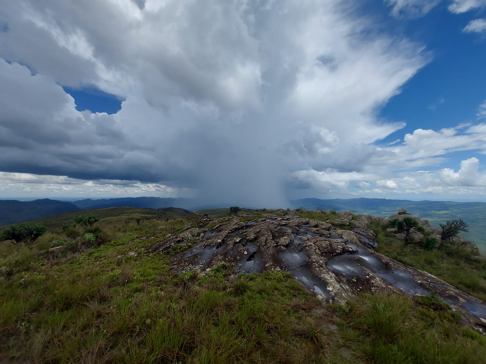 Monumento Natural Estadual de Itatiaia — Mata Atlântica