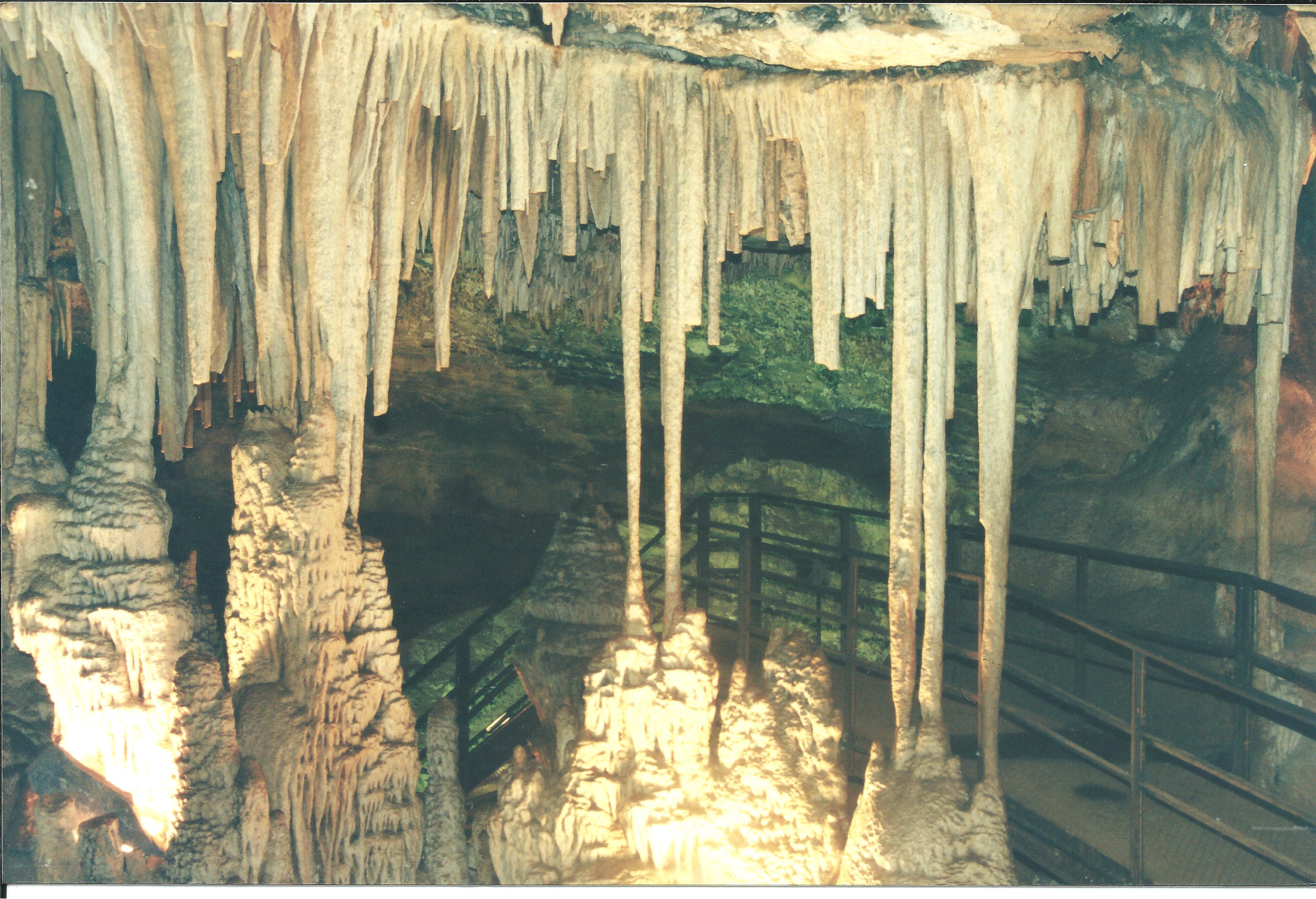 Monumento Natural Estadual Gruta Rei do Mato — Mata Atlântica