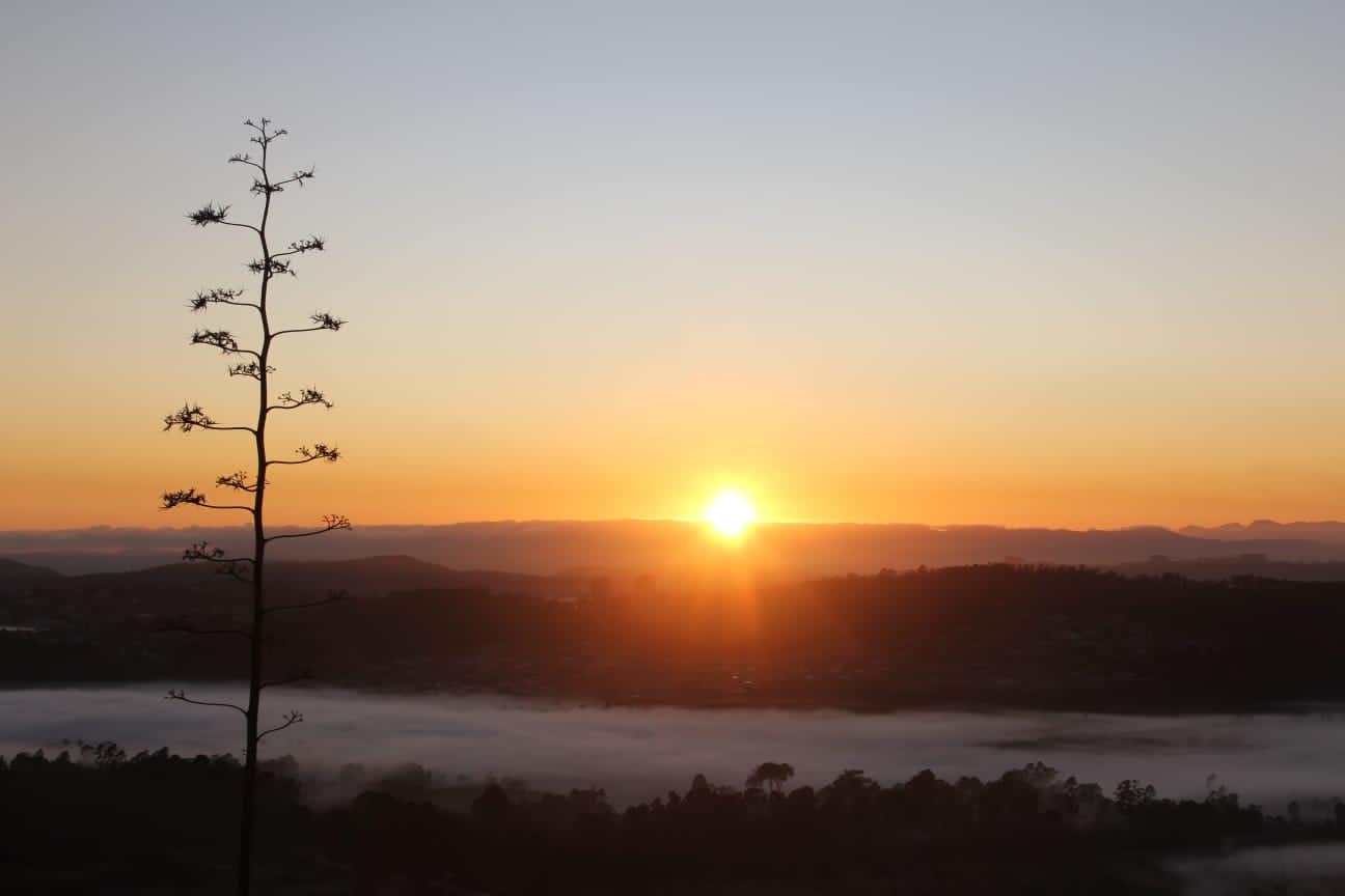 Monumento Natural Estadual Serra da Moeda — Mata Atlântica