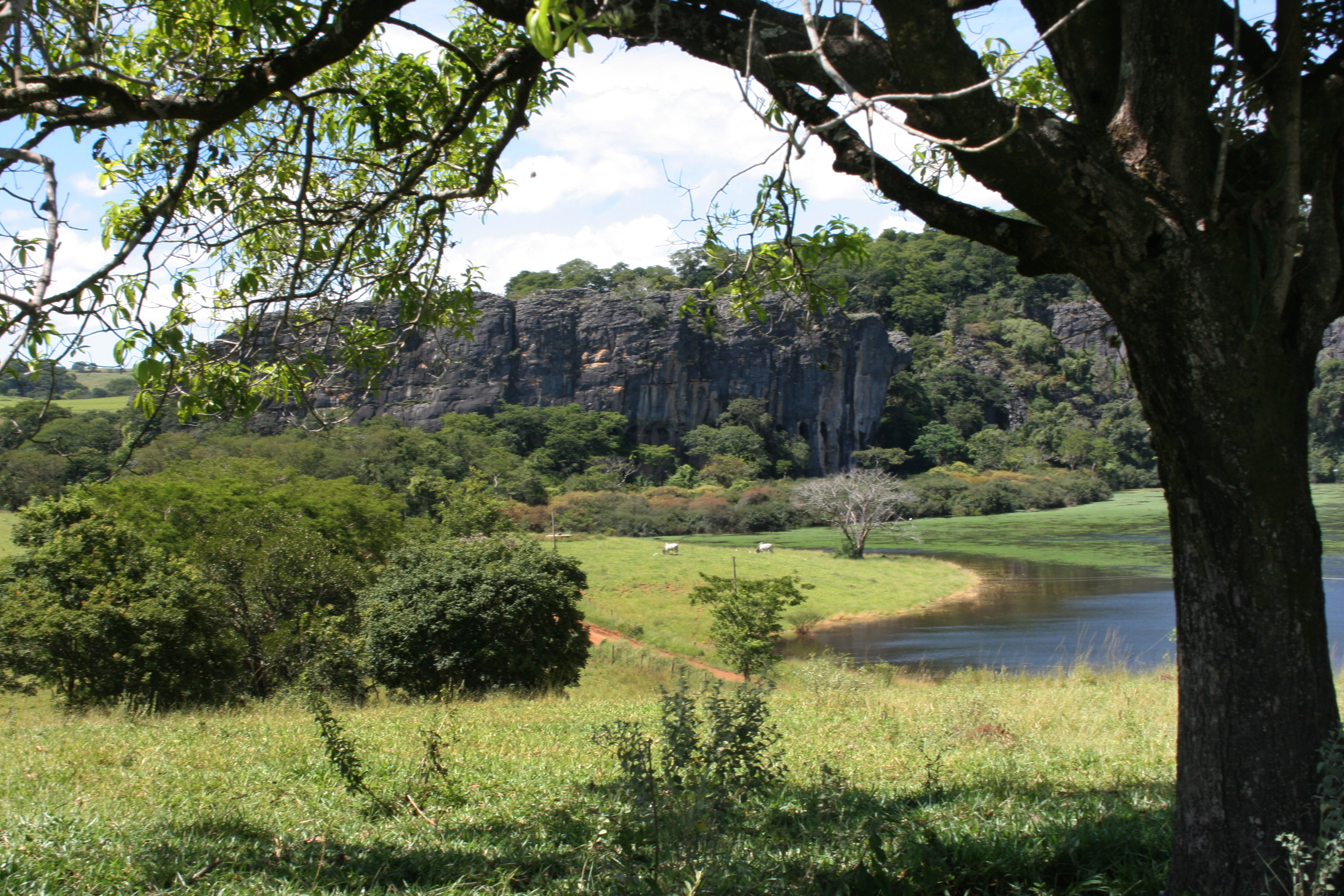Monumento Natural Estadual Vargem da Pedra — Cerrado