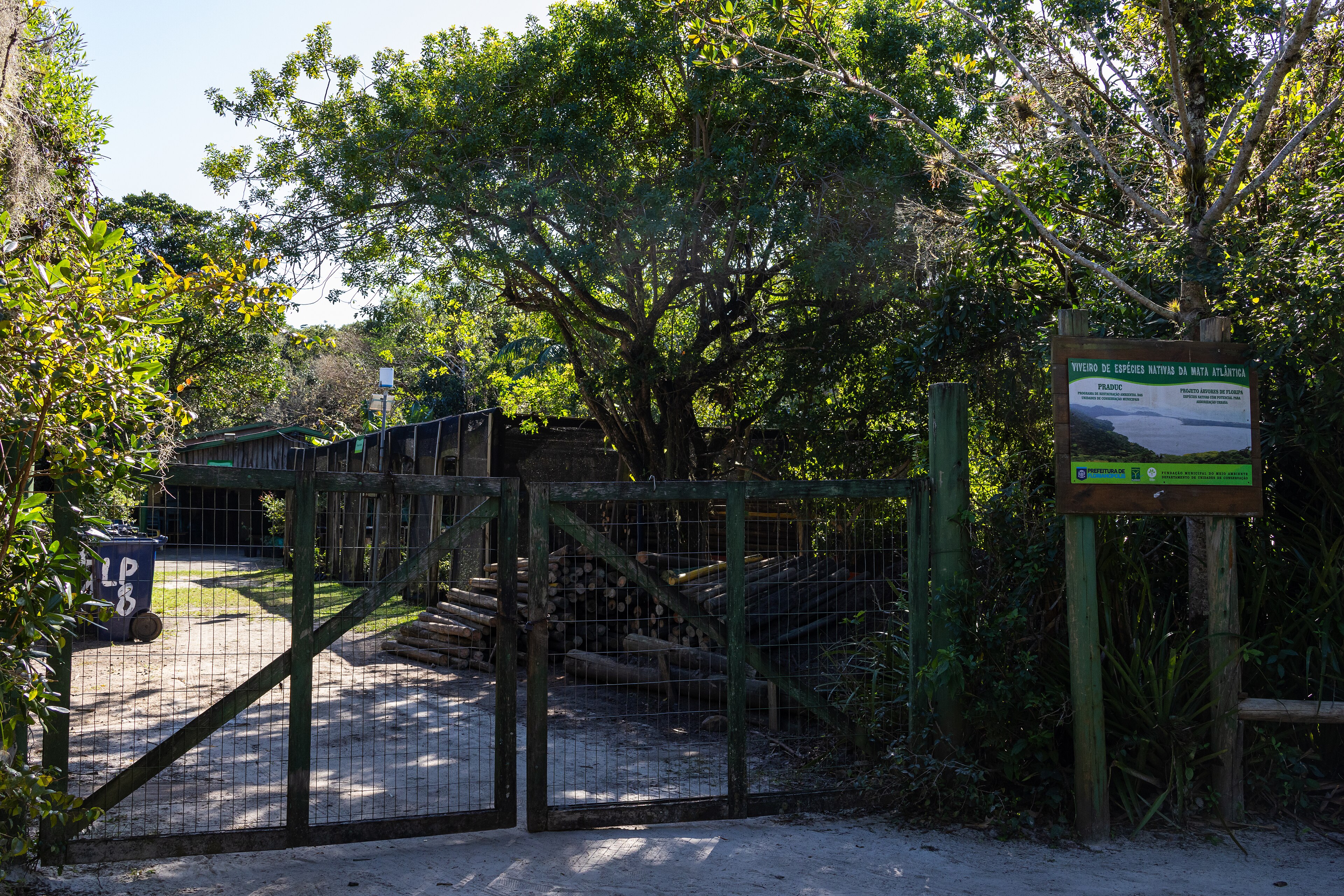 Monumento Natural Municipal da Lagoa do Peri — Mata Atlântica