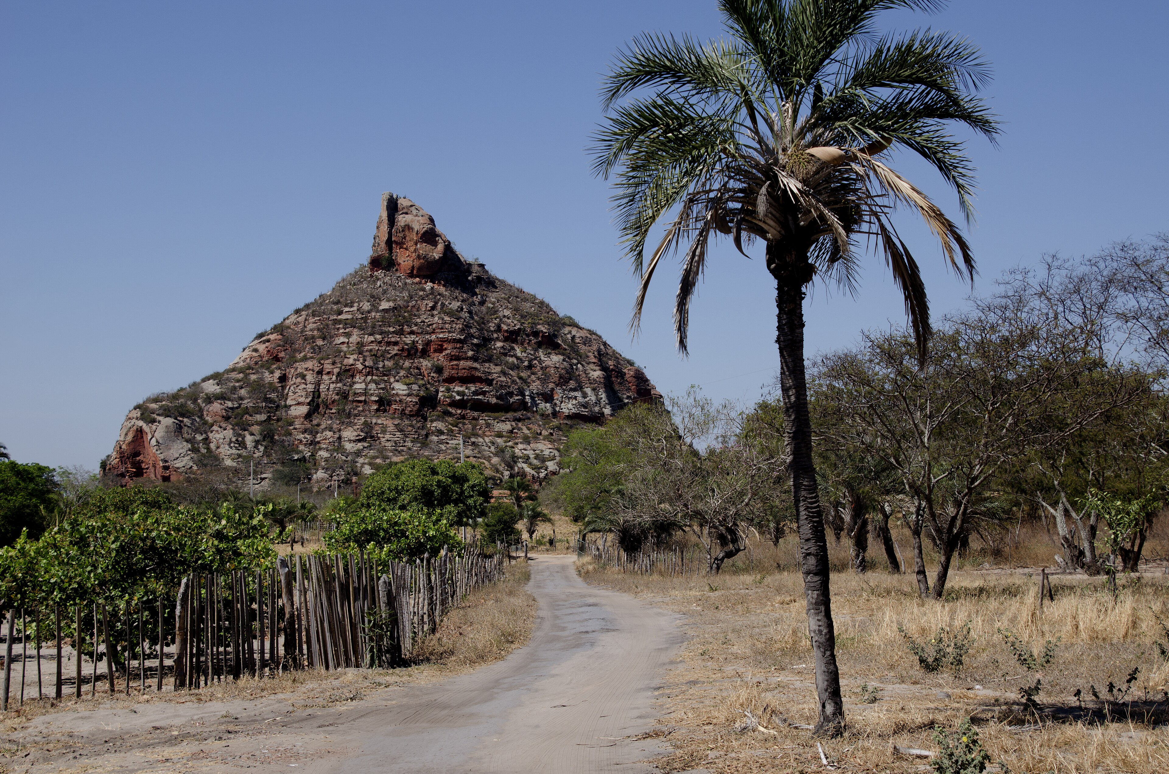 Monumento Natural Pedra do Cachorro — Caatinga