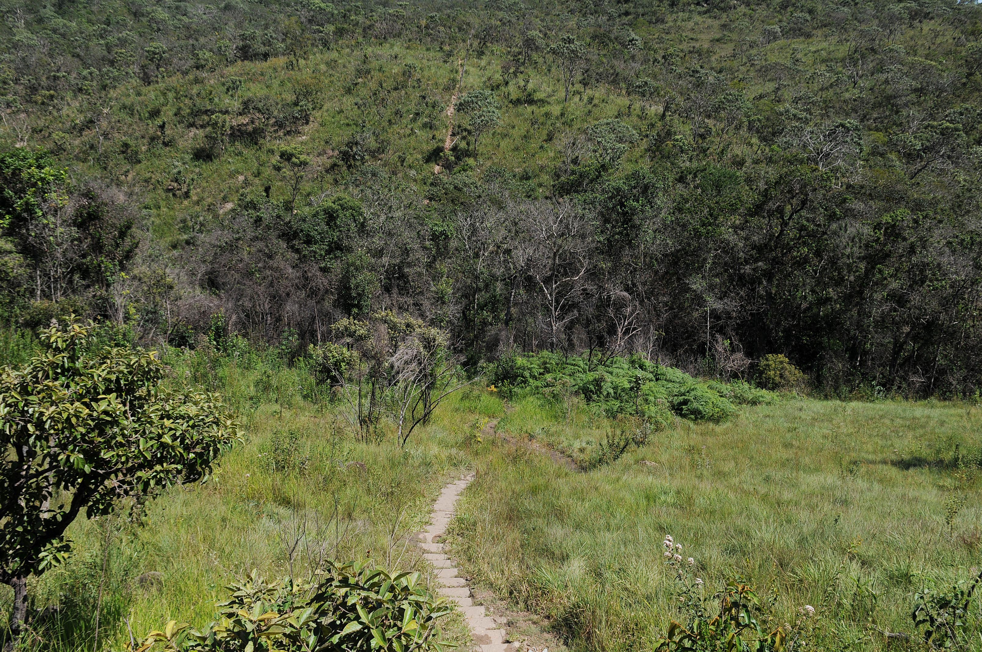 Parque Distrital Salto do Tororó — Cerrado