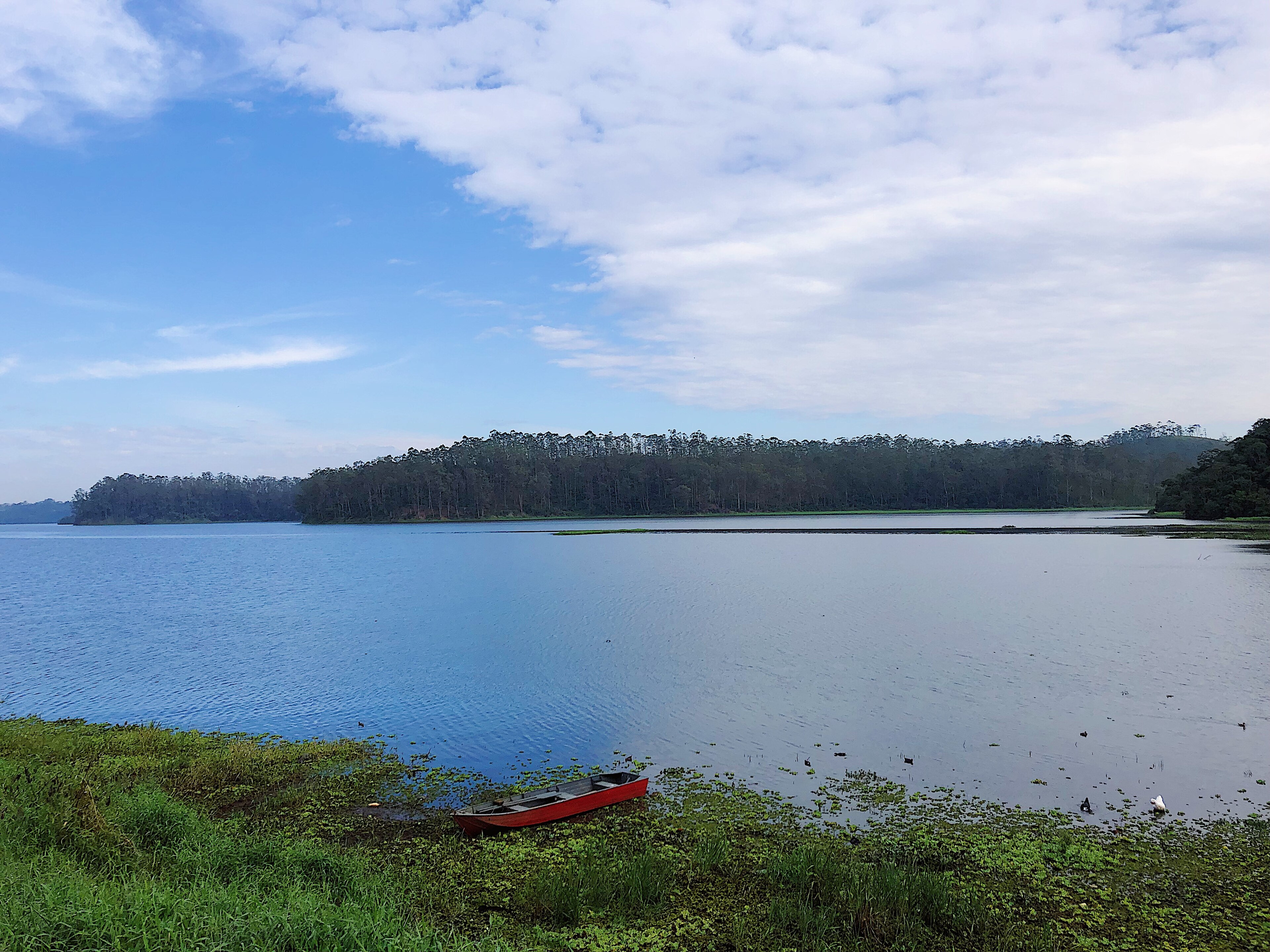 Parque Estadual Águas da Billings — Mata Atlântica