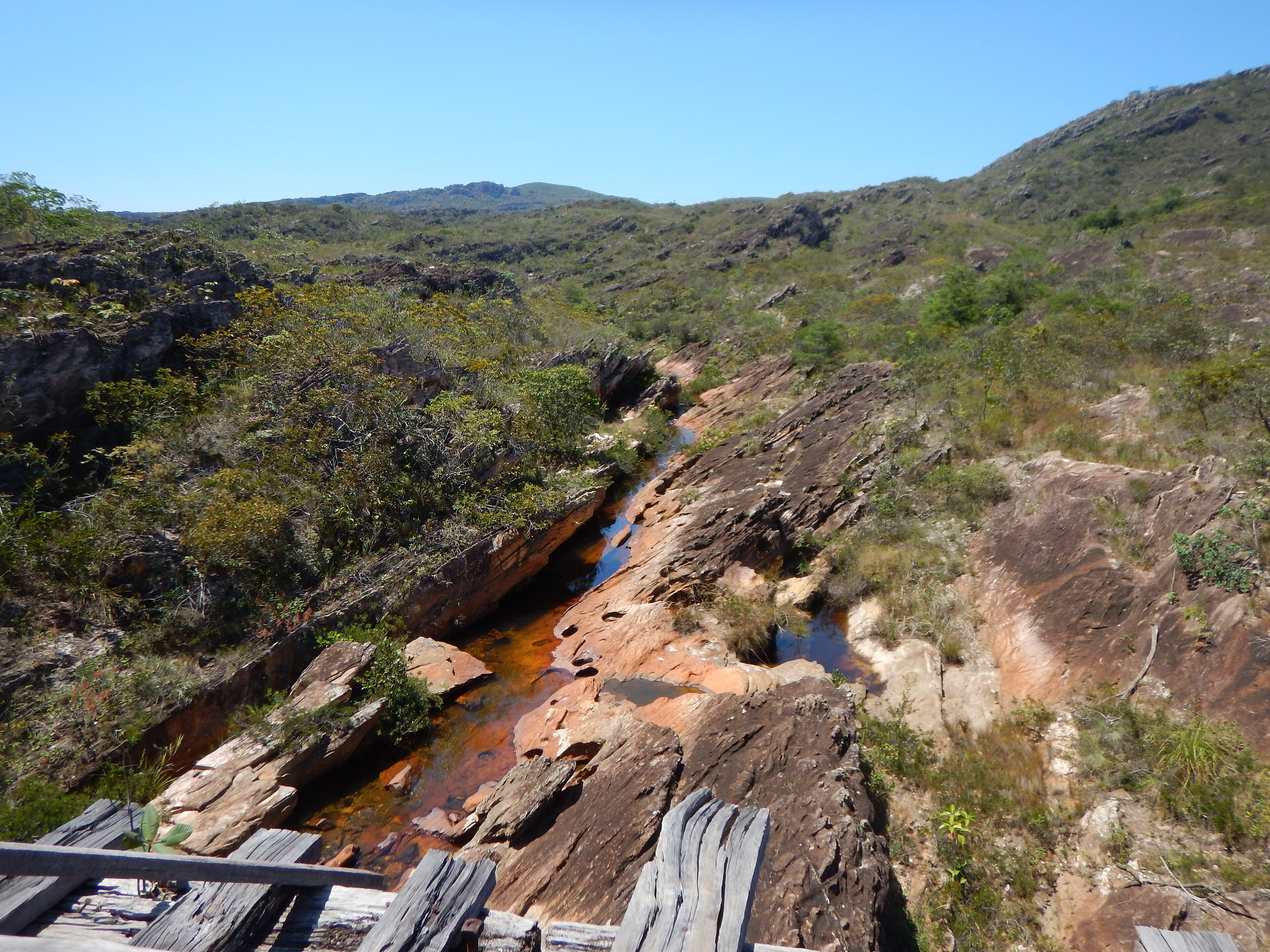Parque Estadual Biribiri — Cerrado