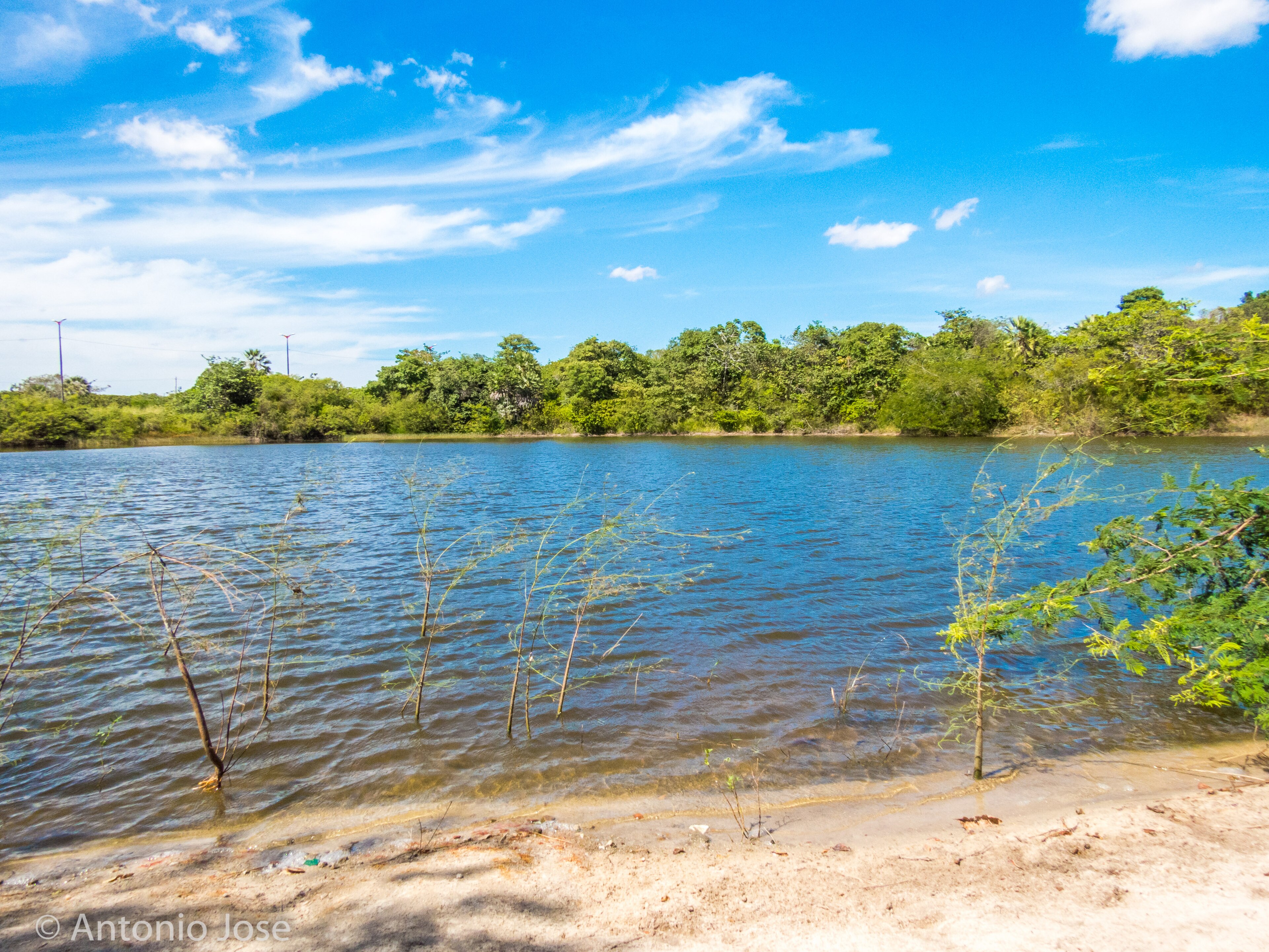 Parque Estadual Botânico do Ceará — Caatinga